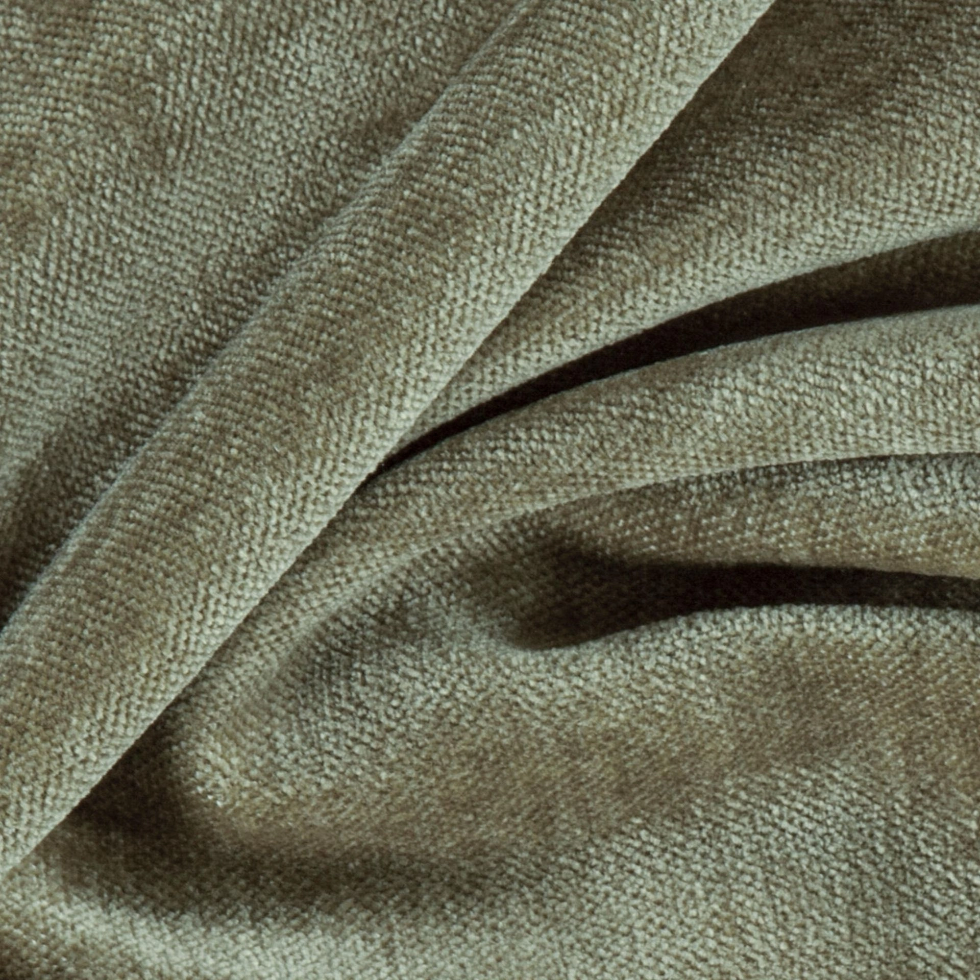 Bolshoi--Bolshoi--37-Khaki - Primiero Khaki 3110010--Photograph_CloseUp.JPG