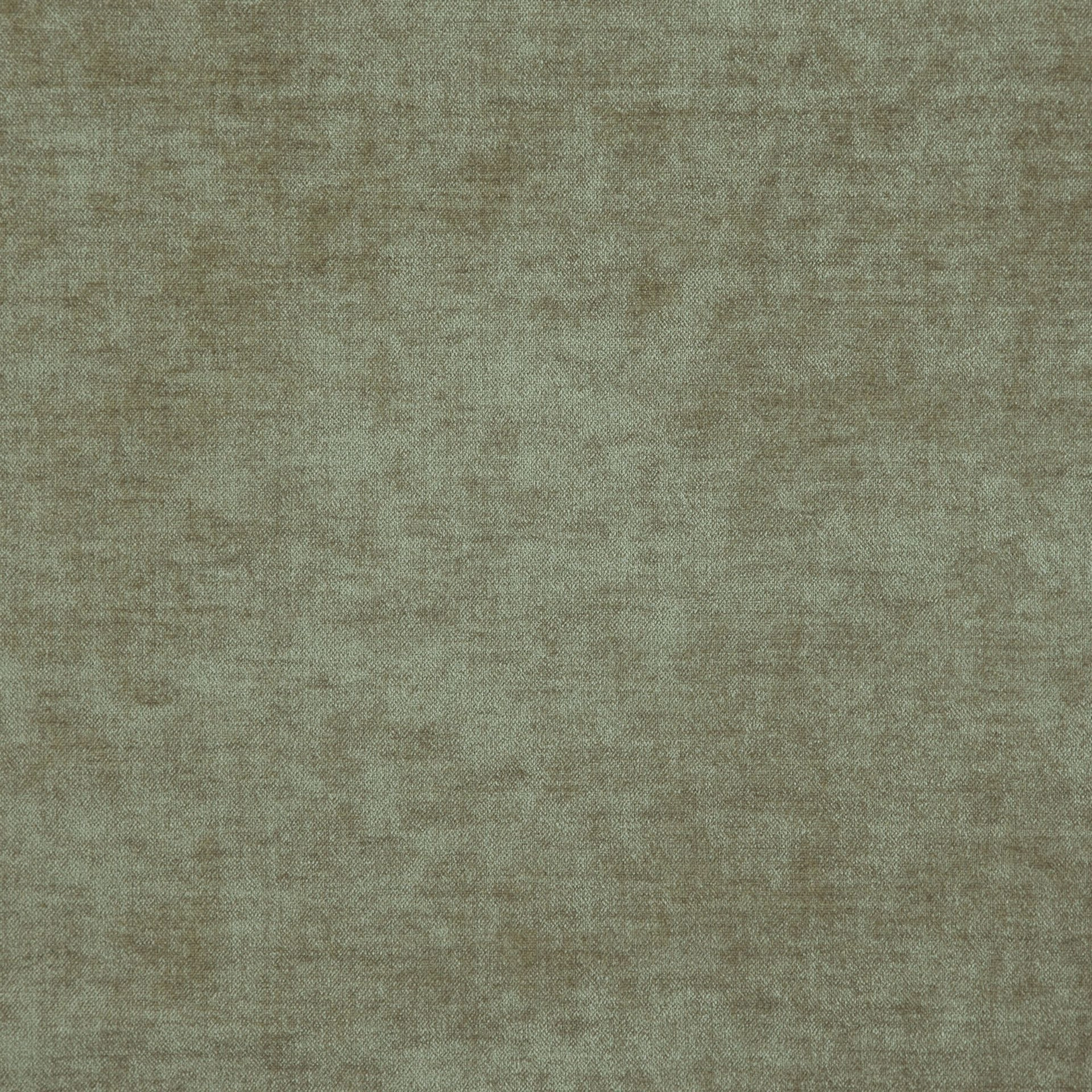 Bolshoi--Bolshoi--37-Khaki - Primiero Khaki 3110010--Photograph_FlatShot.JPG