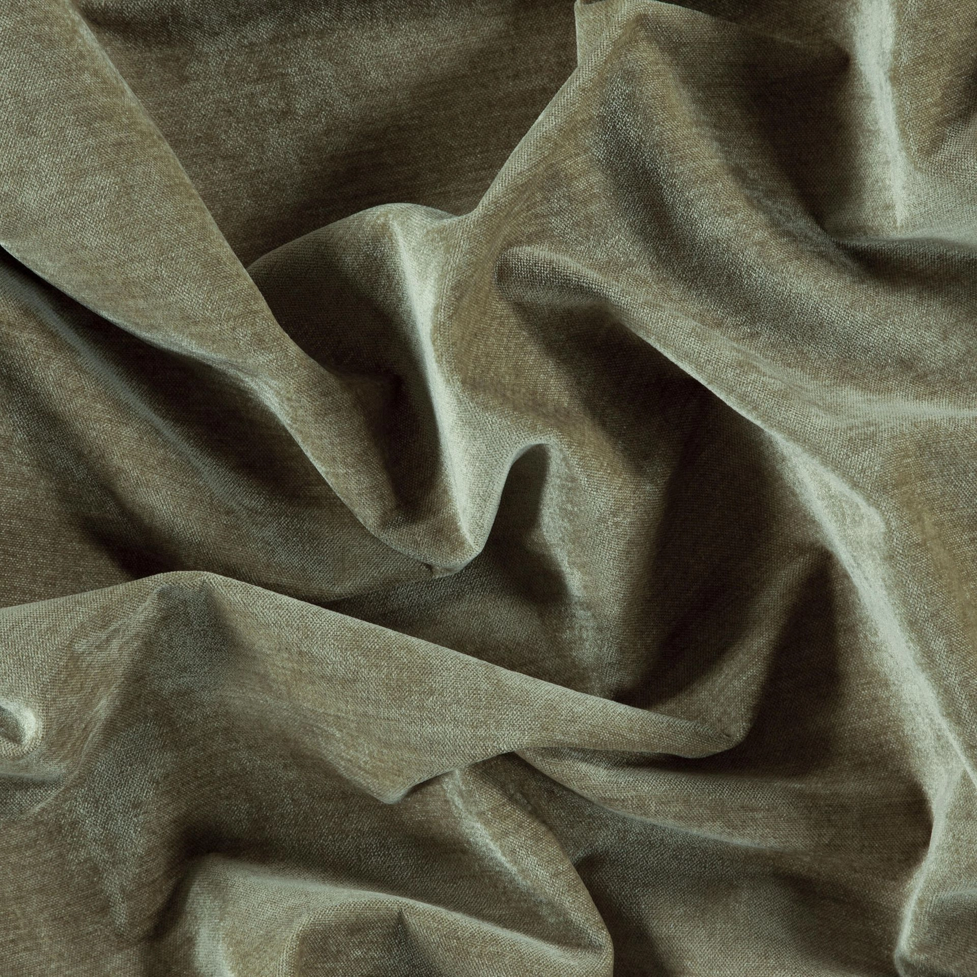 Bolshoi--Bolshoi--37-Khaki - Primiero Khaki 3110010--Photograph_Wrinkeled.JPG
