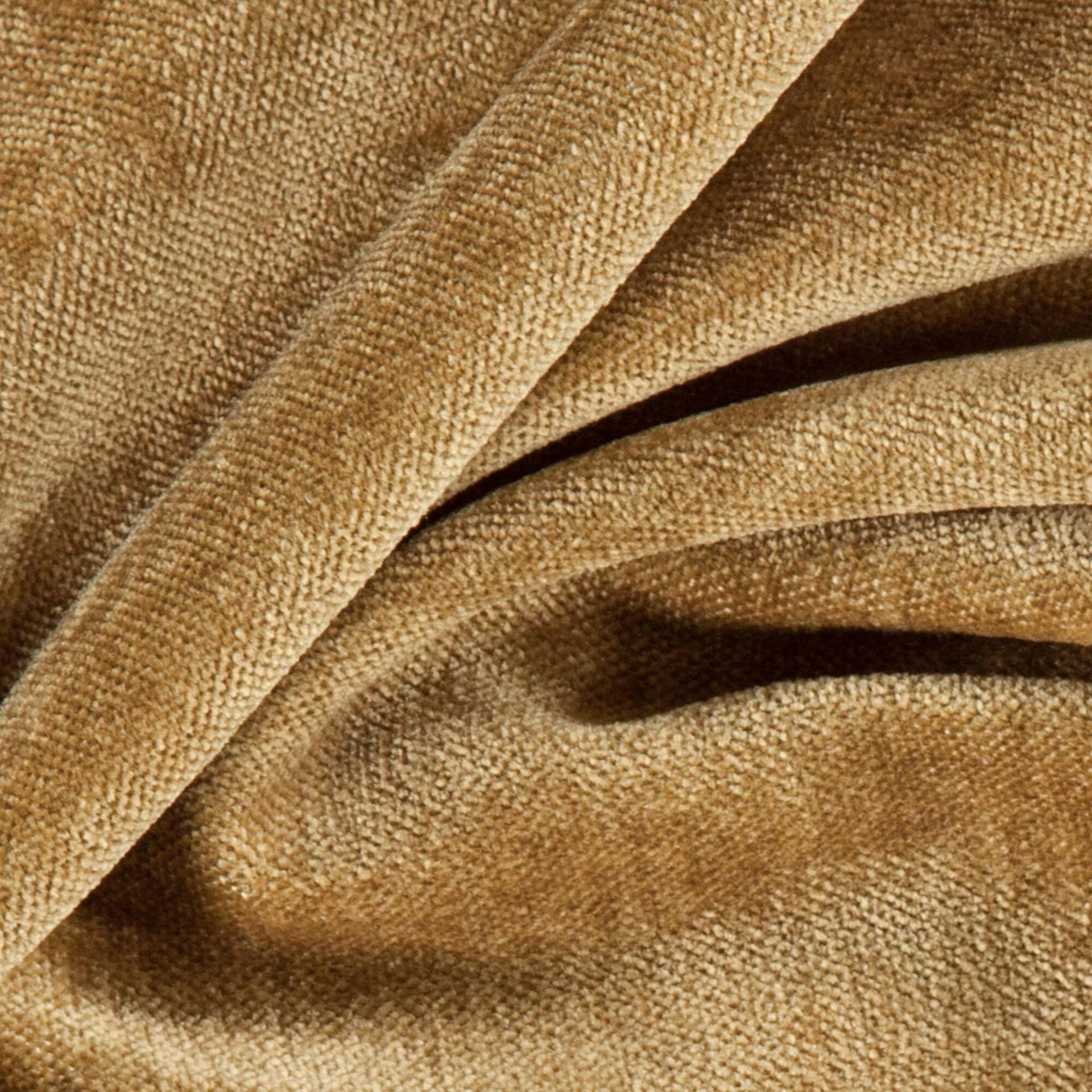 Bolshoi--Bolshoi--10-Lion - Primiero Lion 3110041--Photograph_CloseUp.JPG