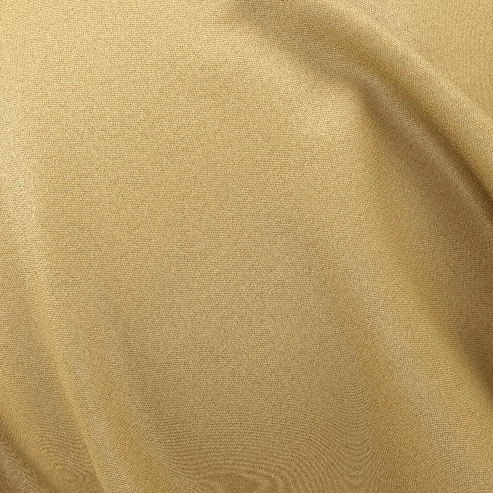 Primiero_Lion_3110041_10.jpg