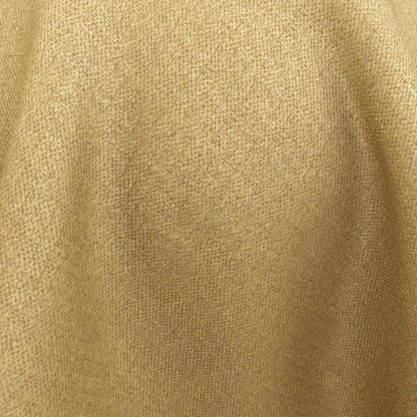 Primiero_Lion_3110041_16.jpg