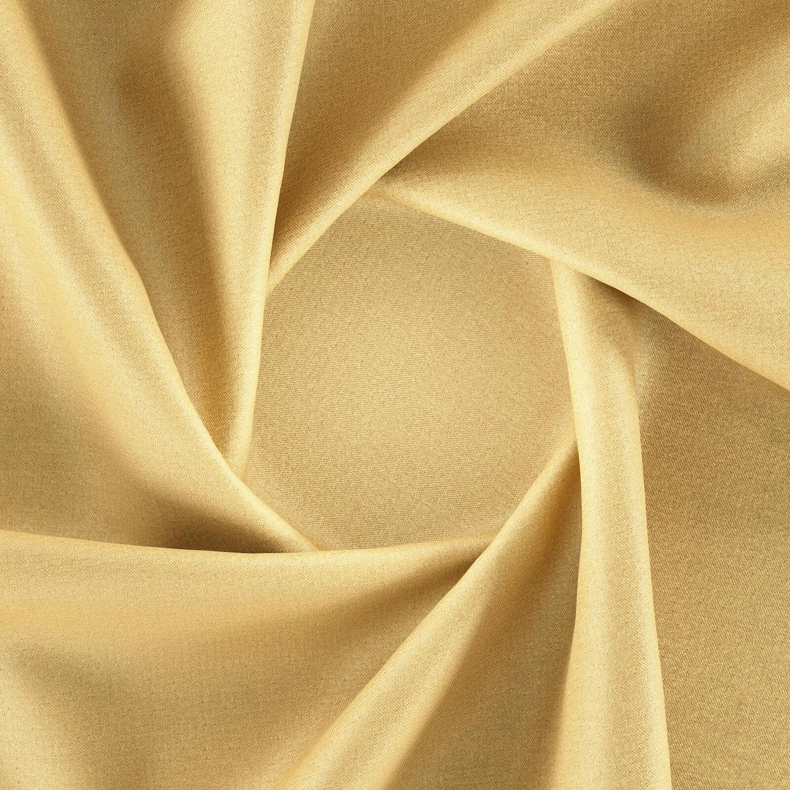 Primiero_Lion_3110041_17.jpg