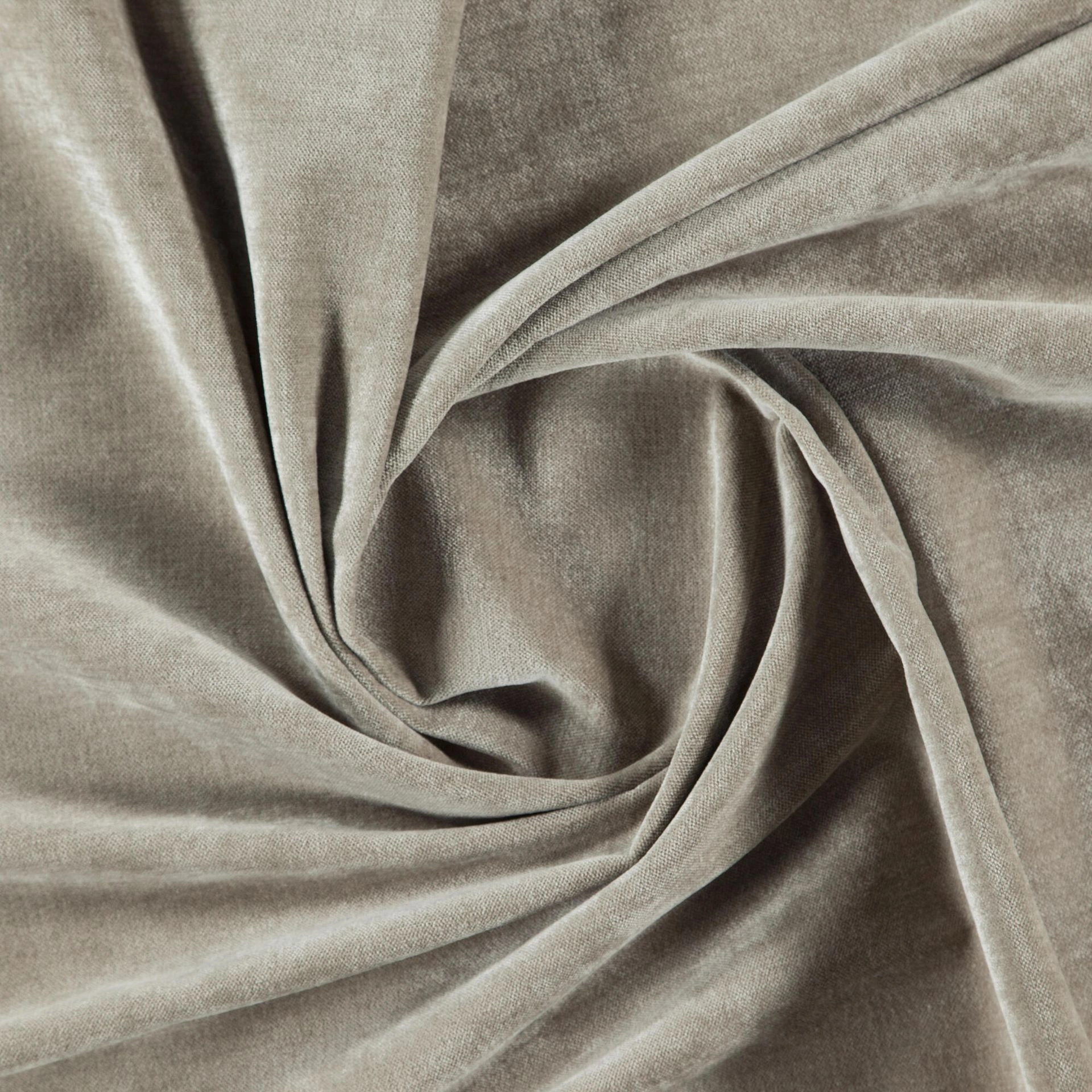 Bolshoi--Bolshoi--15-Oyster - Primiero Oyster 3110015--Photograph_Twist.JPG