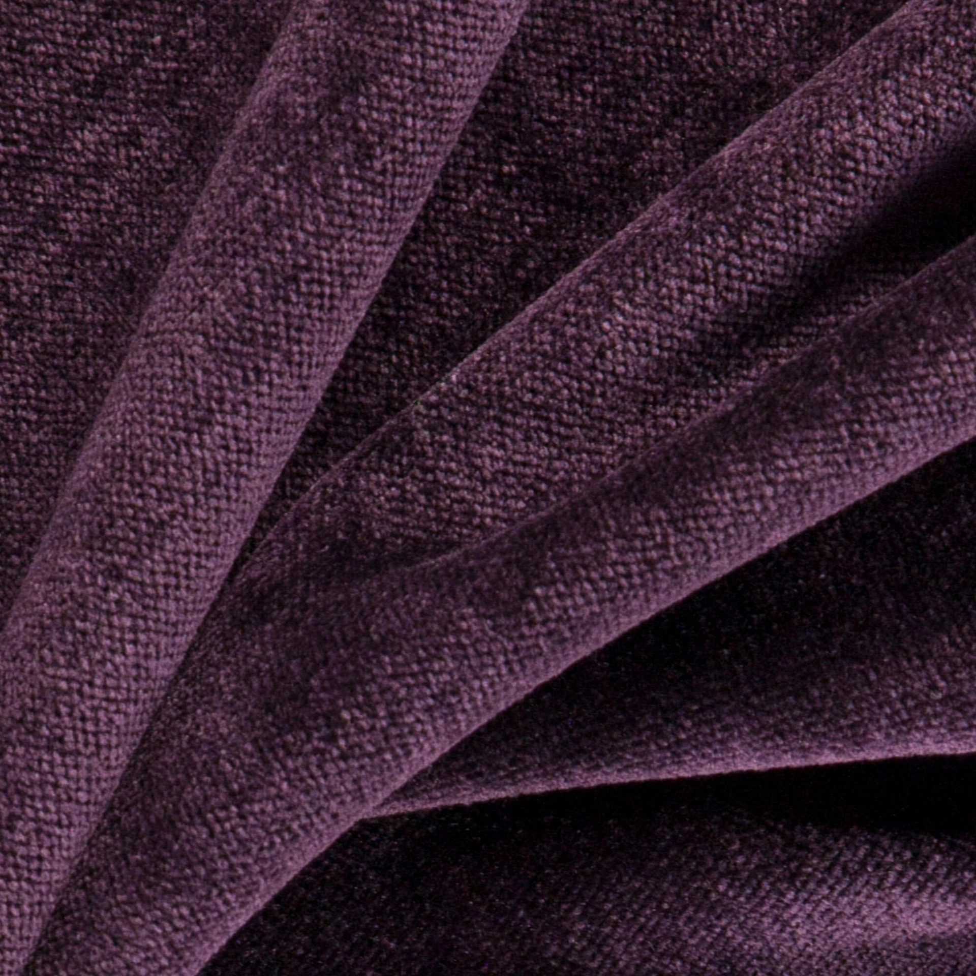 Bolshoi--Bolshoi--58-Plum - Primiero Plum 3110029--Photograph_CloseUp.JPG