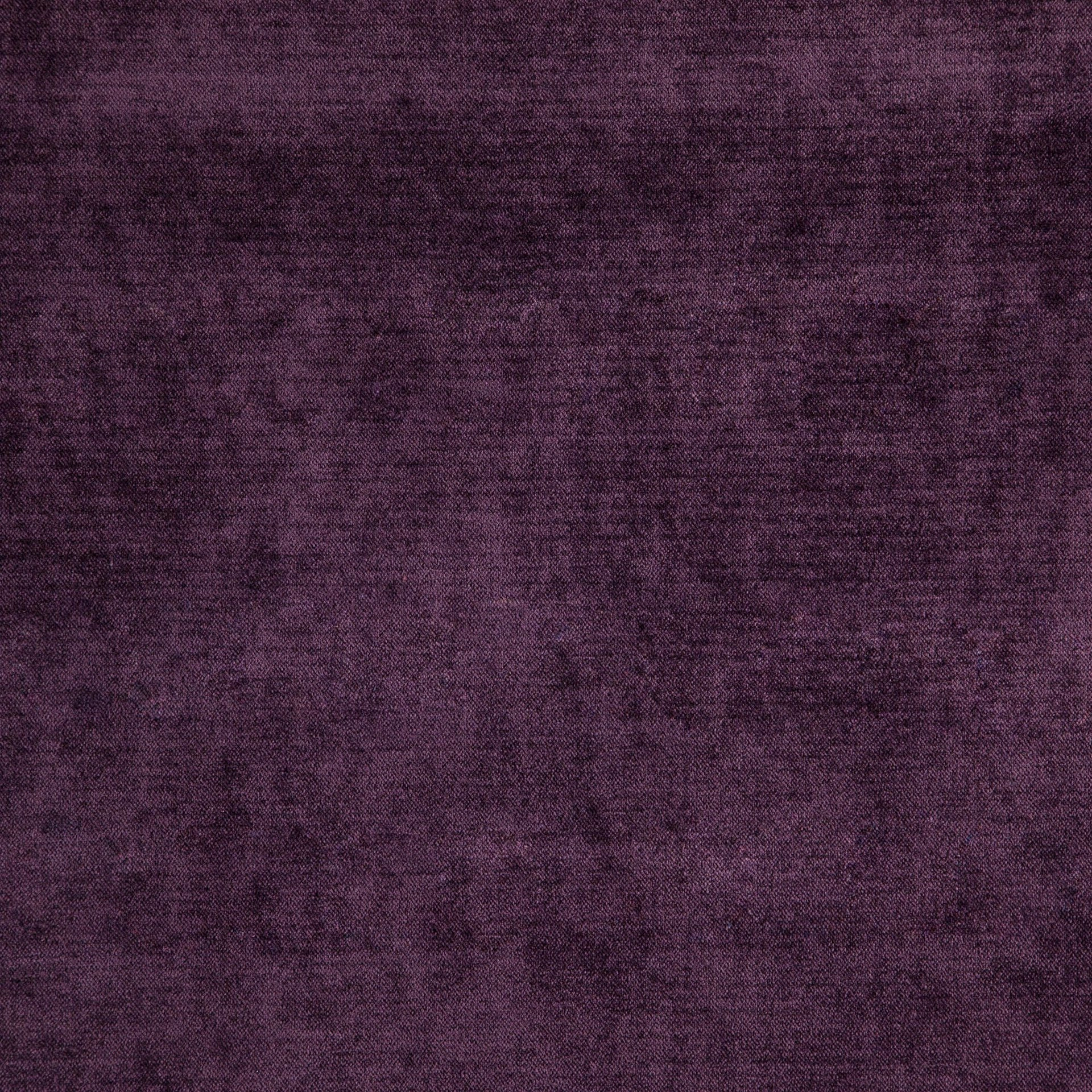 Bolshoi--Bolshoi--58-Plum - Primiero Plum 3110029--Photograph_FlatShot.JPG