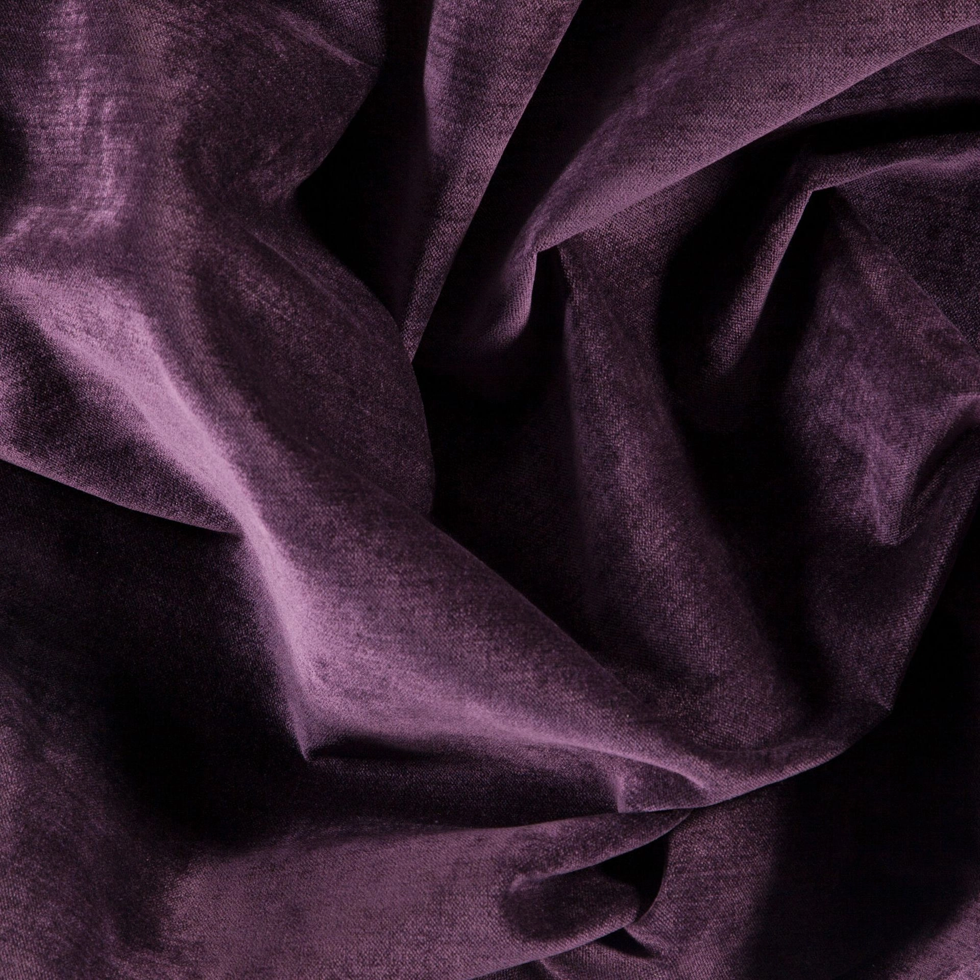 Bolshoi--Bolshoi--58-Plum - Primiero Plum 3110029--Photograph_Wrinkeled.JPG