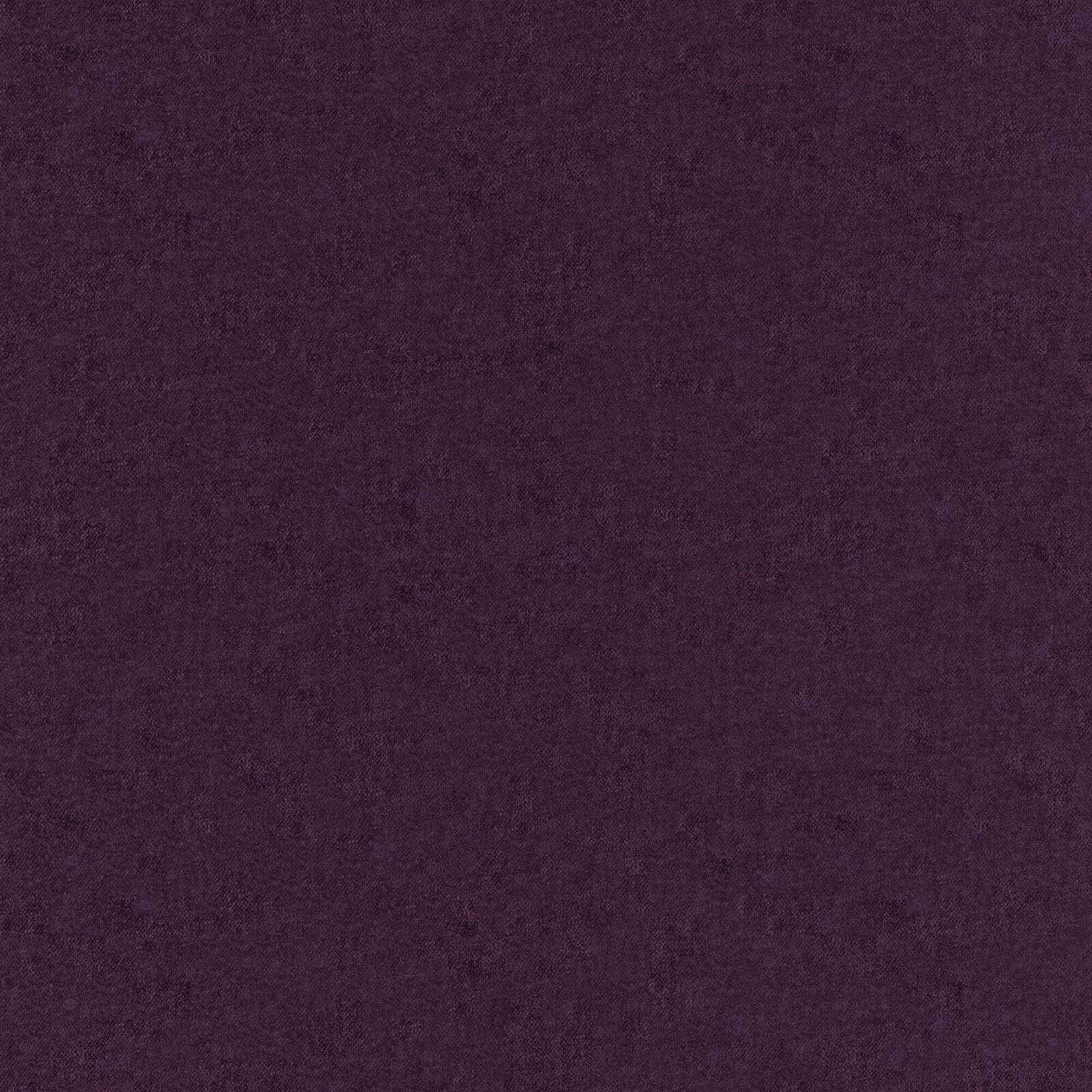 Primiero_Plum_3110029_28.jpg