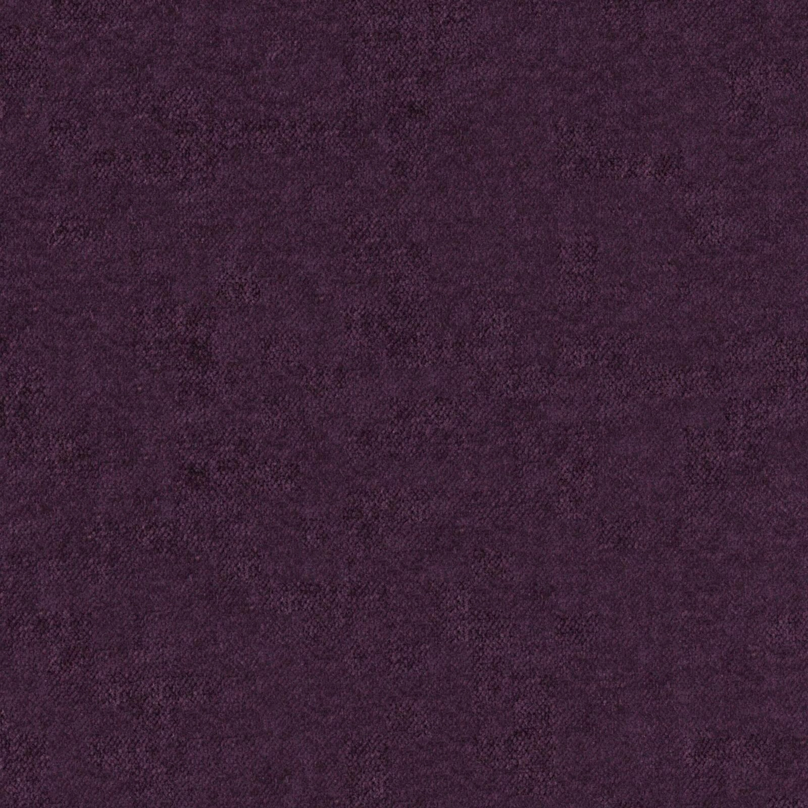 Primiero_Plum_3110029_42.jpg