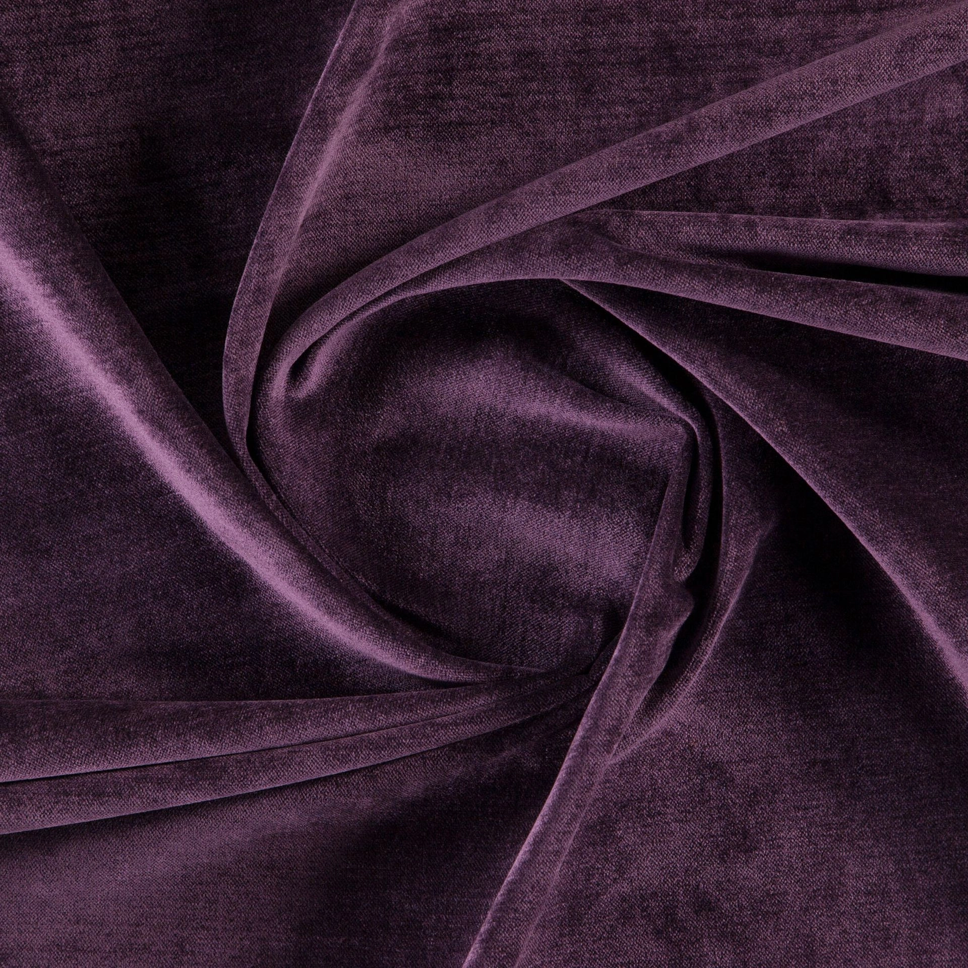 Bolshoi--Bolshoi--58-Plum - Primiero Plum 3110029--Photograph_Twist.JPG