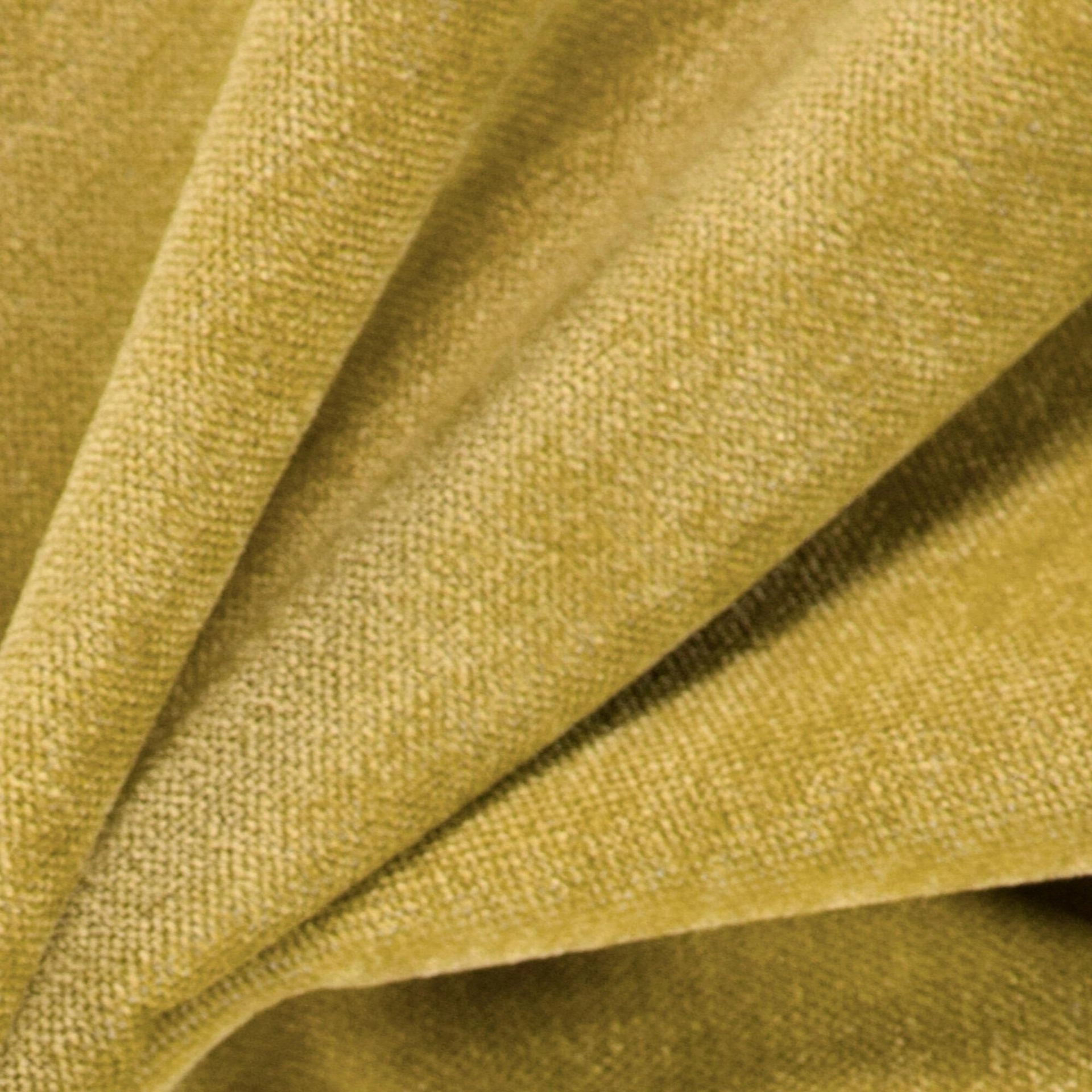 Bolshoi--Bolshoi--44-Sunflower - Primiero Sunflower 3110013--Photograph_CloseUp.JPG