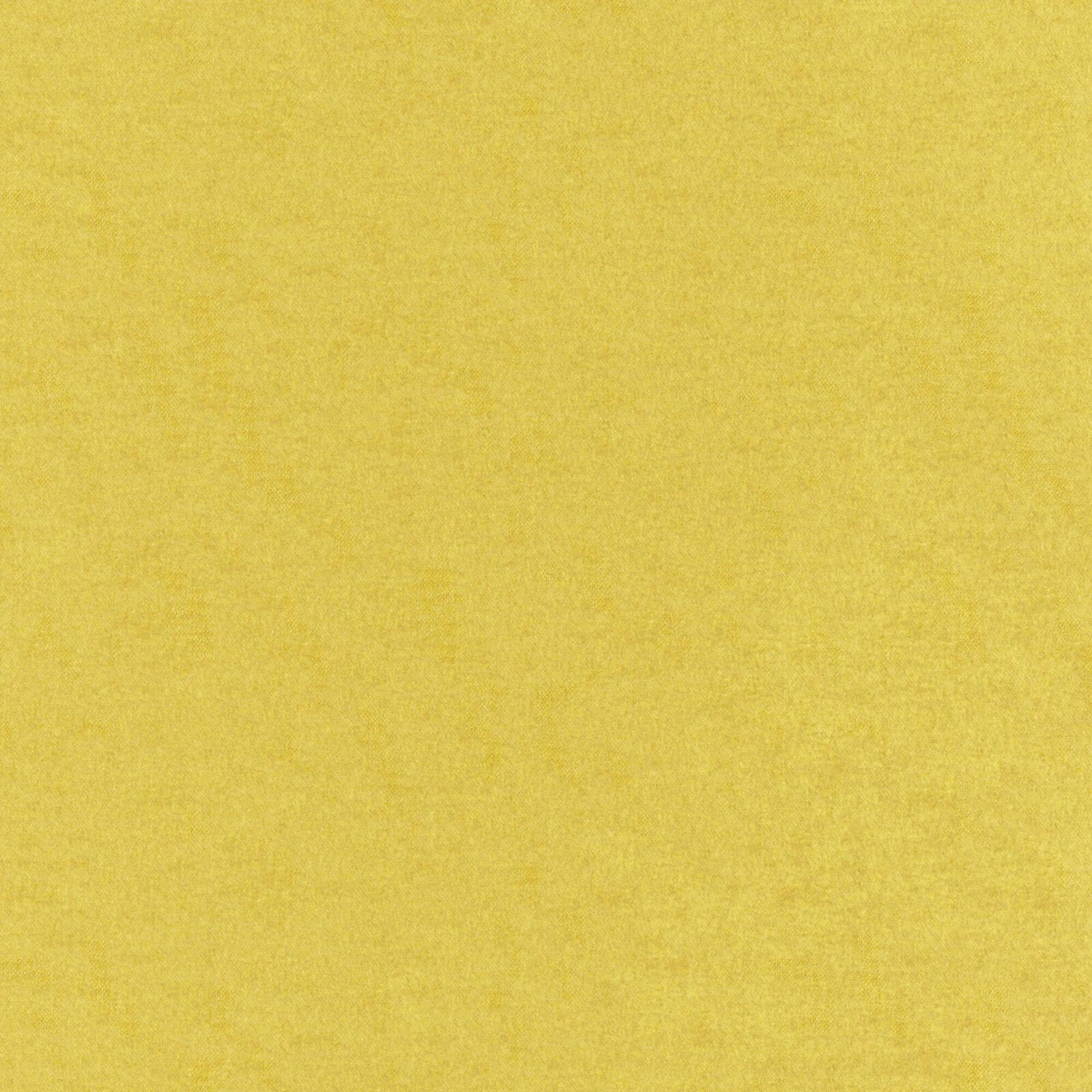 Primiero_Sunflower_3110013_0.jpg