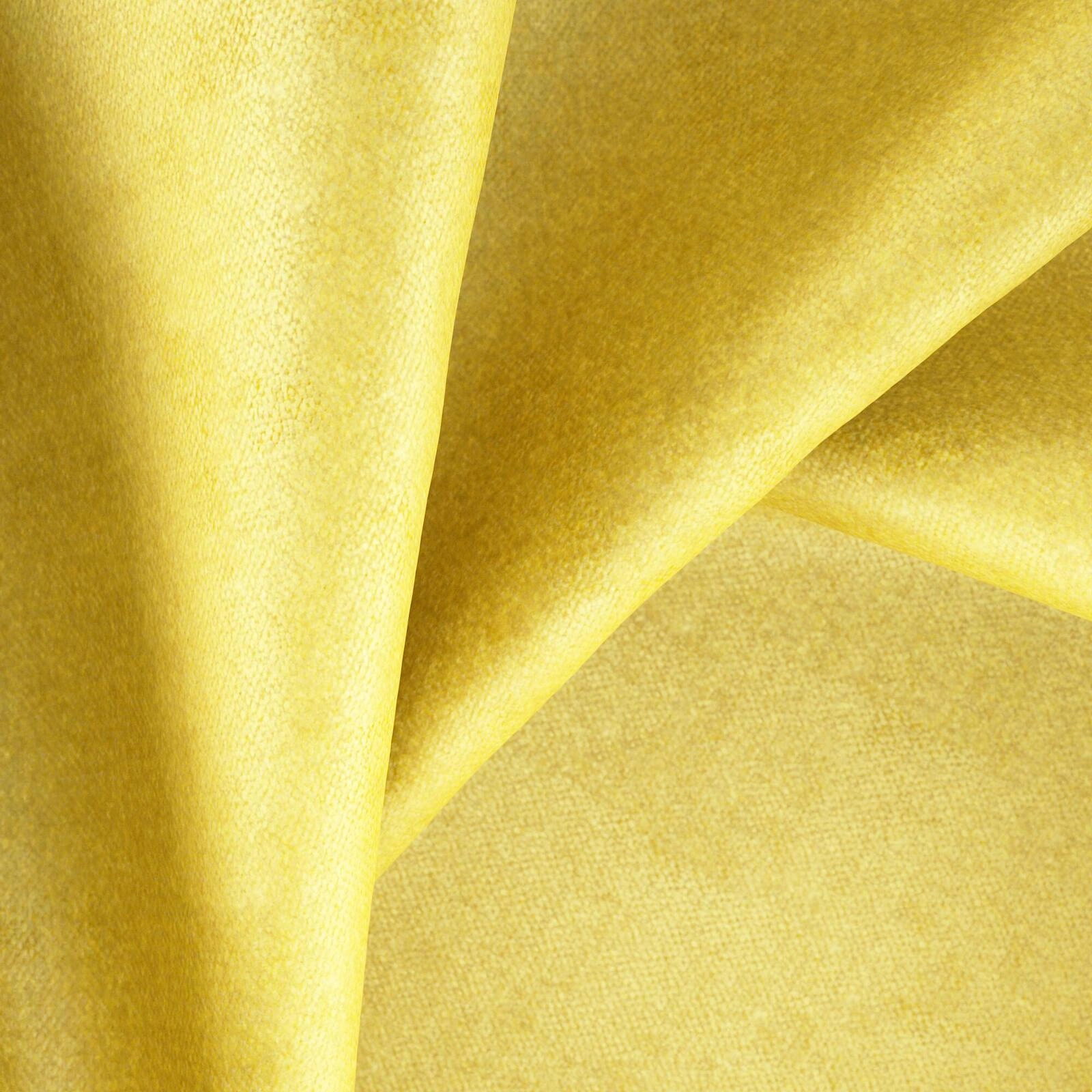 Primiero_Sunflower_3110013_1.jpg