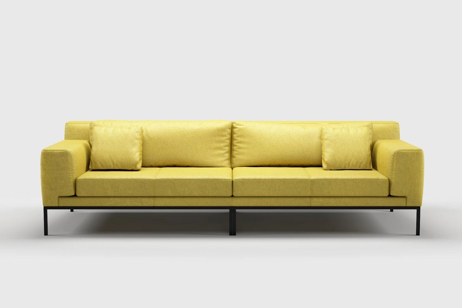 Primiero_Sunflower_3110013_13.jpg