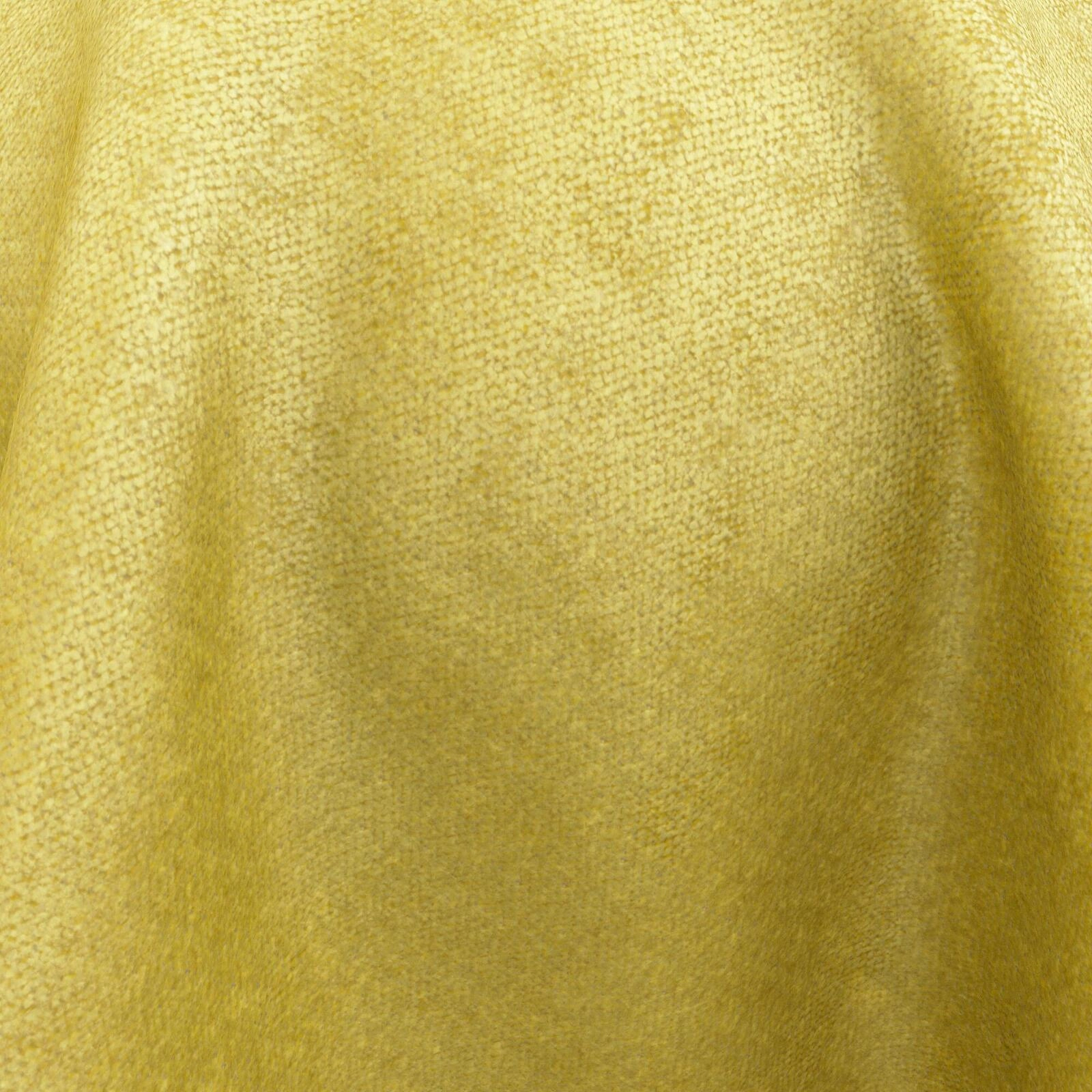 Primiero_Sunflower_3110013_40.jpg