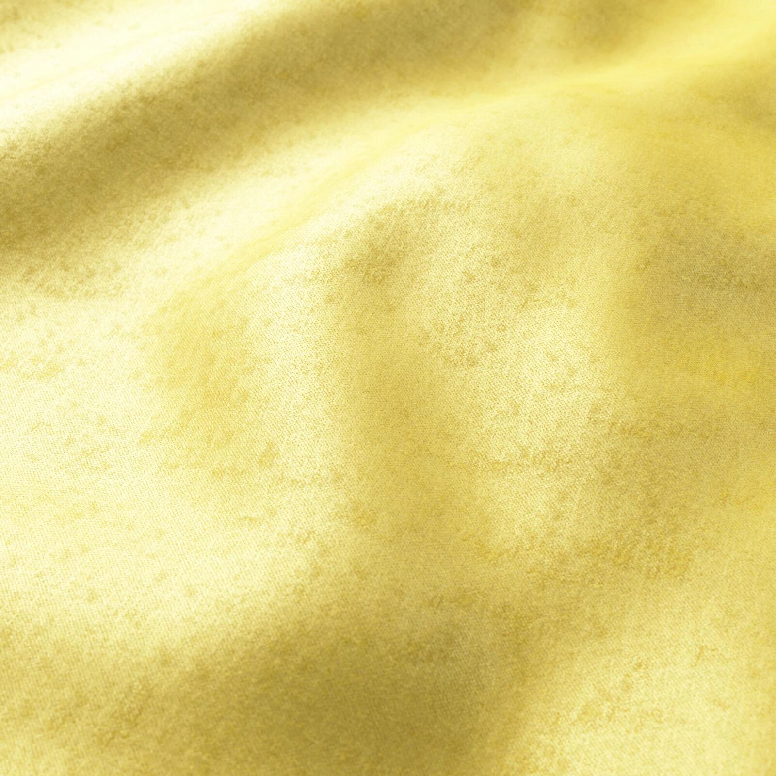 Primiero_Sunflower_3110013_5.jpg