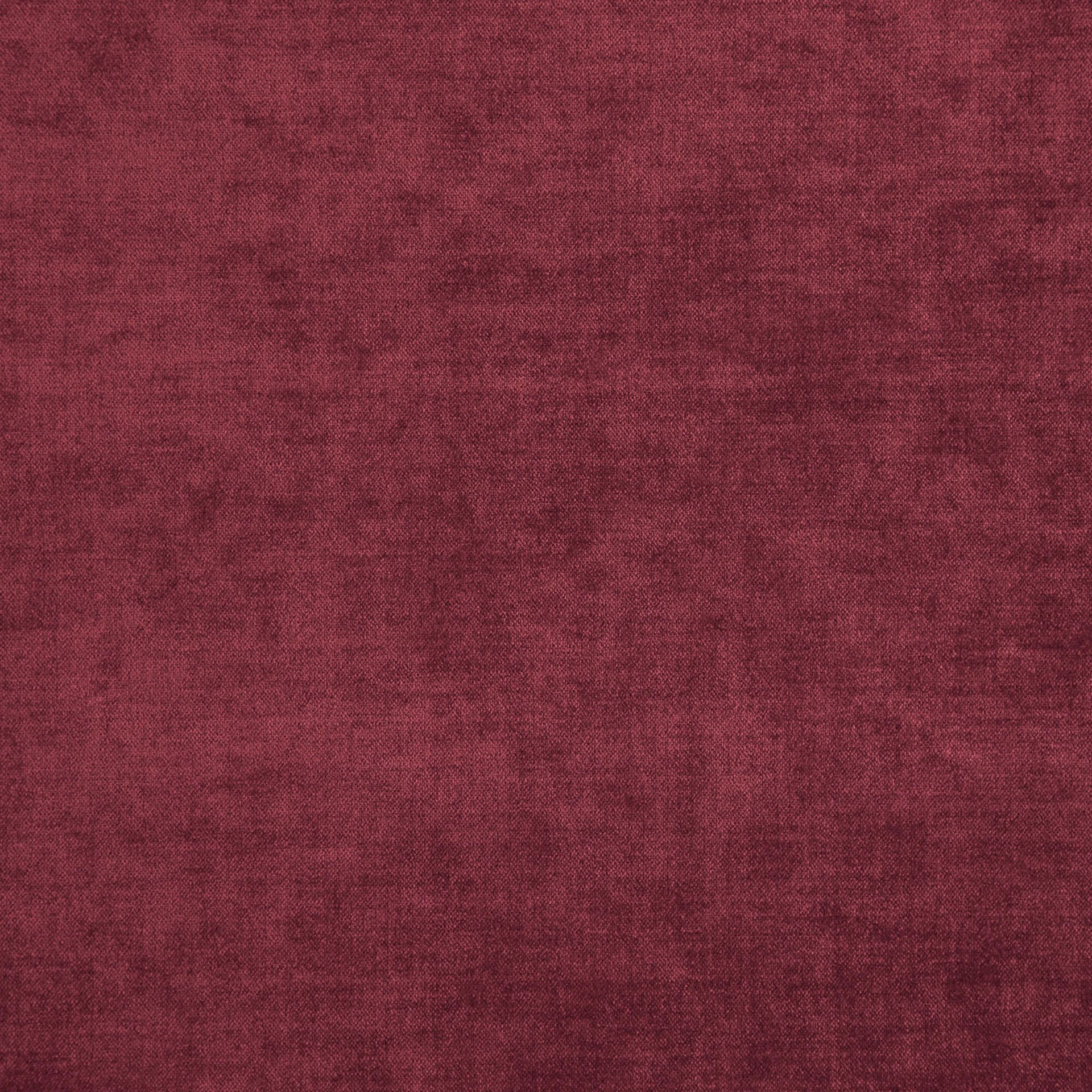 Bolshoi--Bolshoi--48-Vino - Primiero Vino 3110025--Photograph_FlatShot.JPG