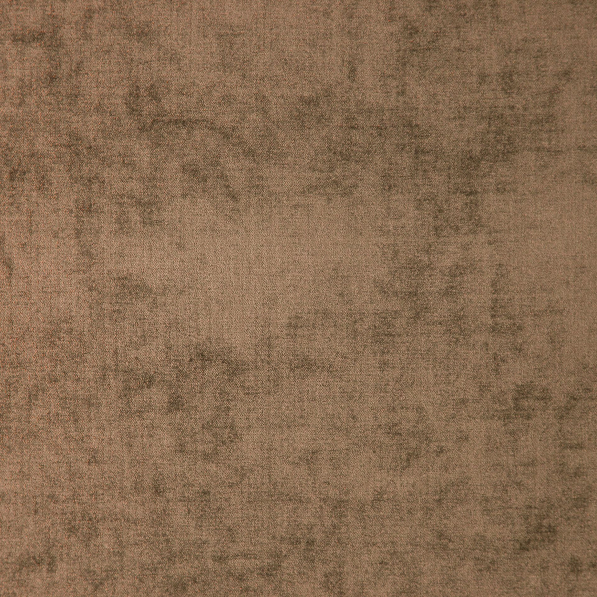 Bolshoi--Bolshoi--11-Bronze - Primiero Bronze 3110042--Photograph_FlatShot.JPG