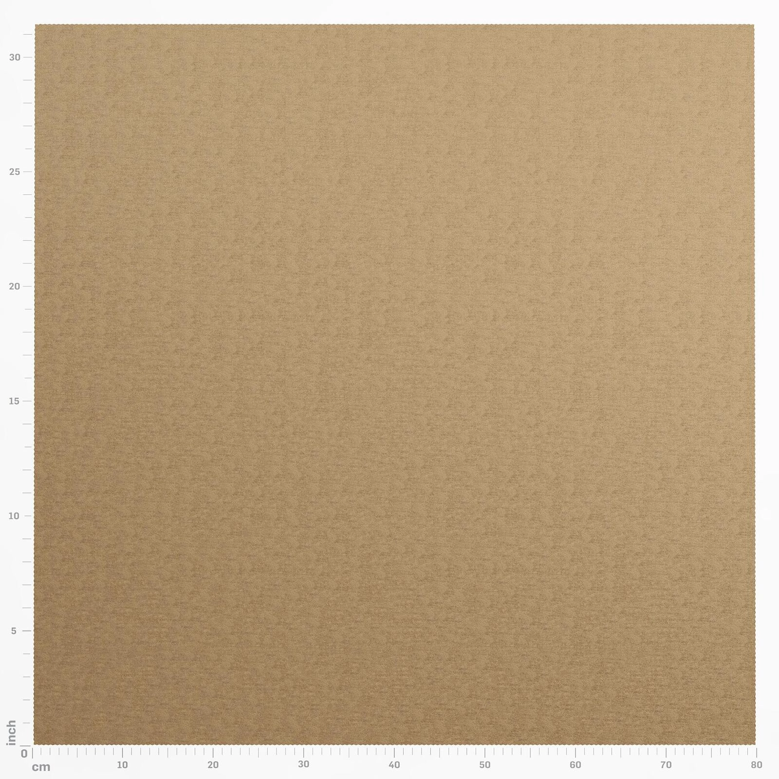 Primiero_Bronze_3110042_30.jpg