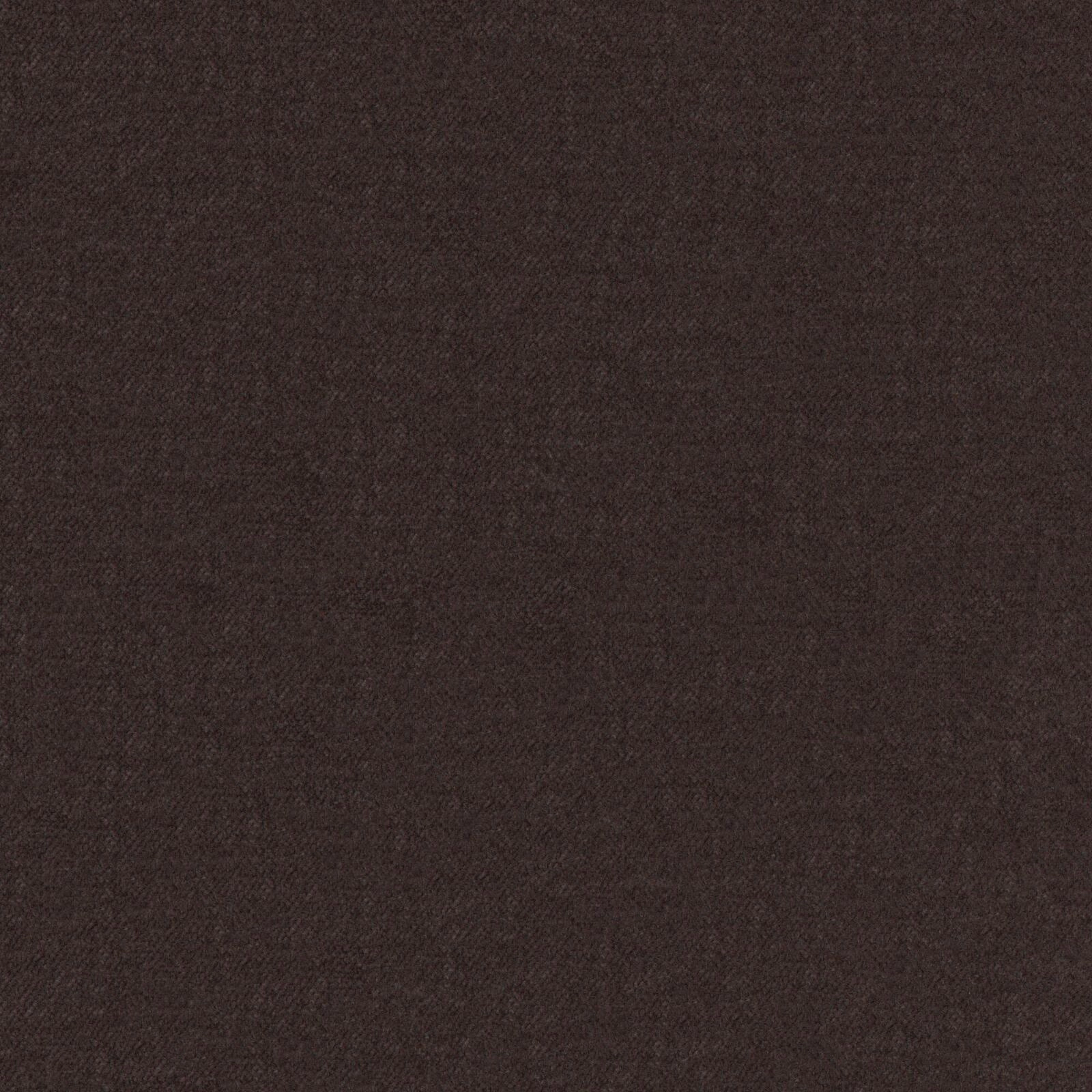 Primiero_Brownie_3110020_23.jpg