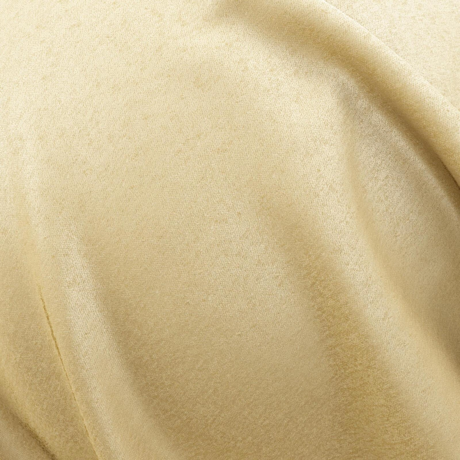 Primiero_Camel_3110040_13.jpg