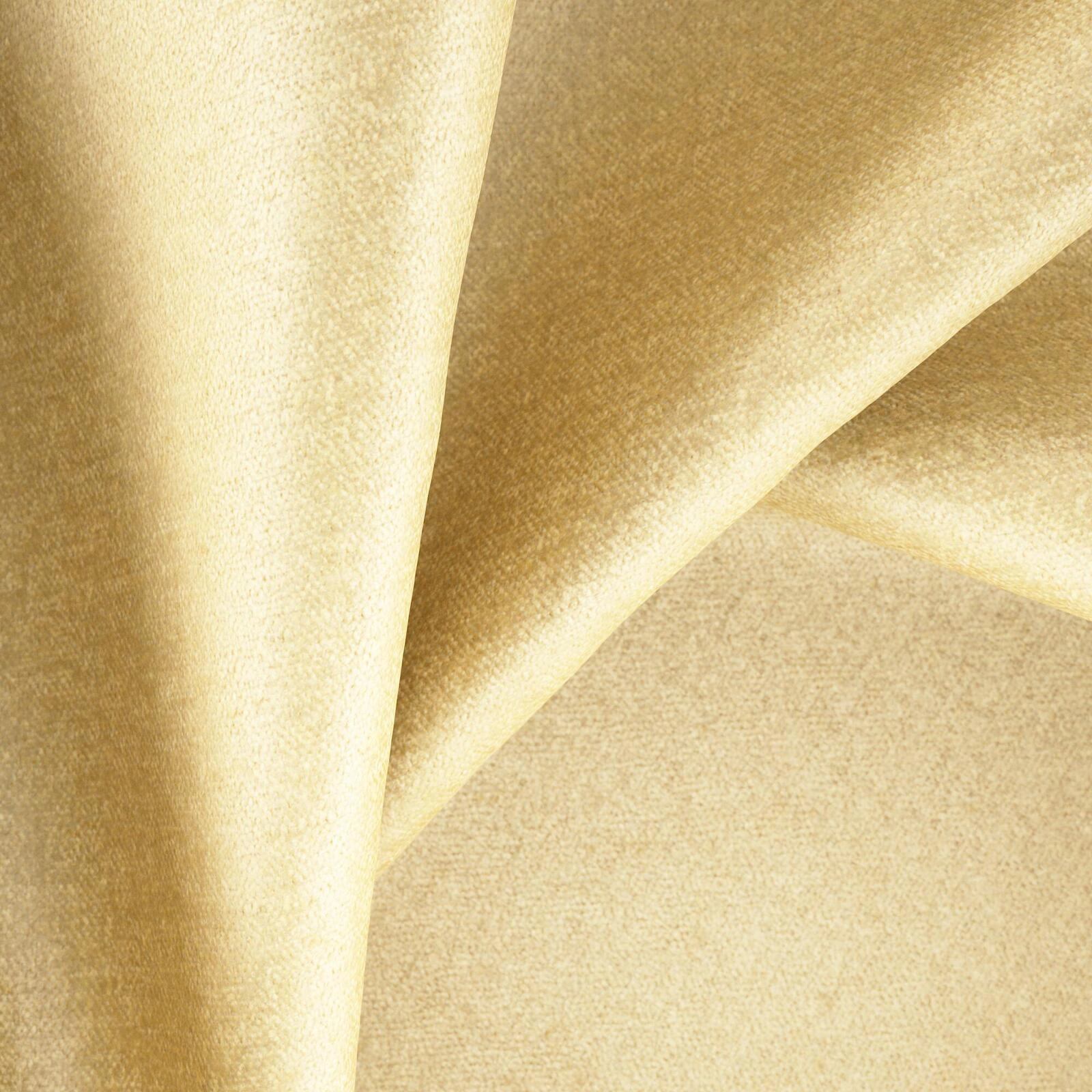 Primiero_Camel_3110040_14.jpg