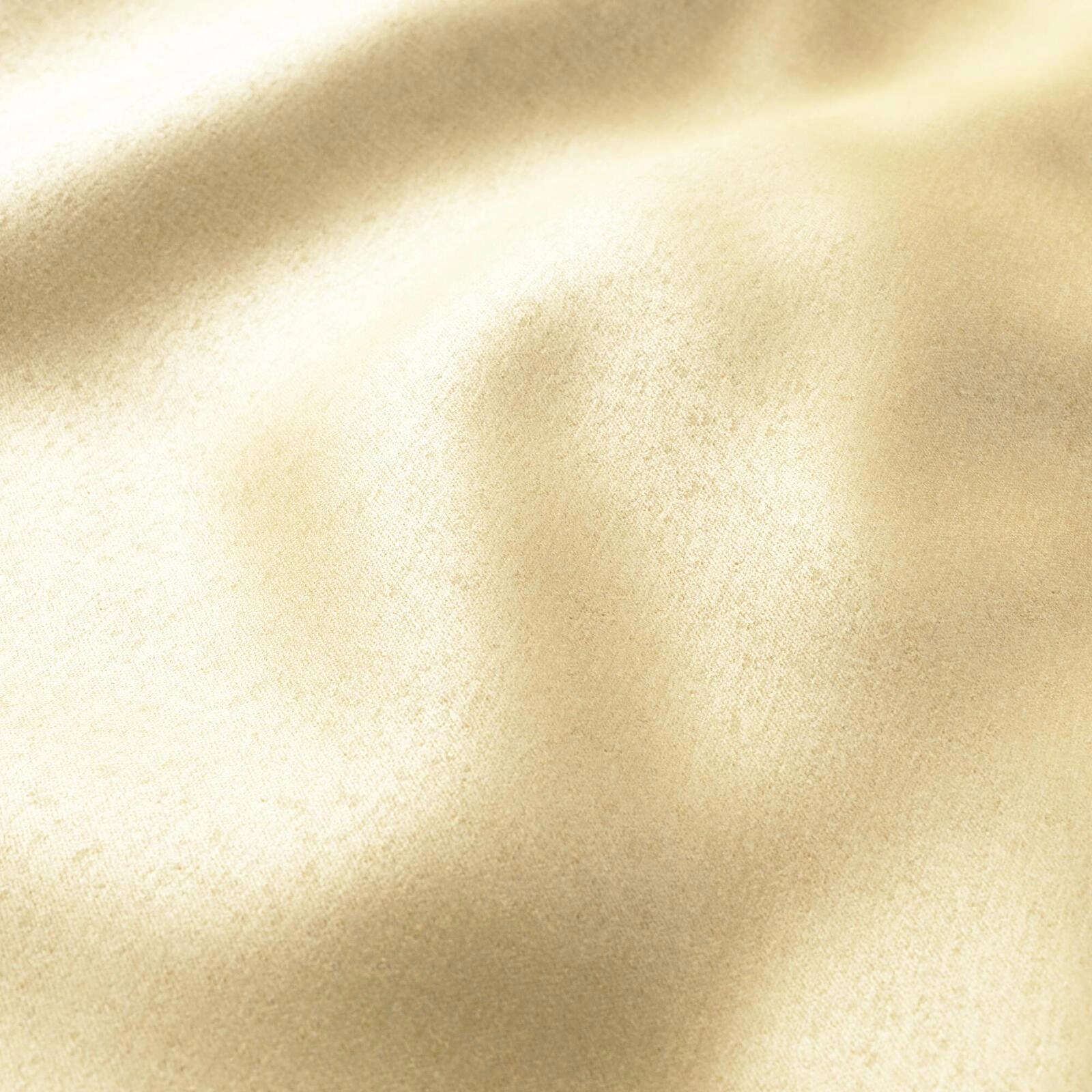 Primiero_Camel_3110040_15.jpg