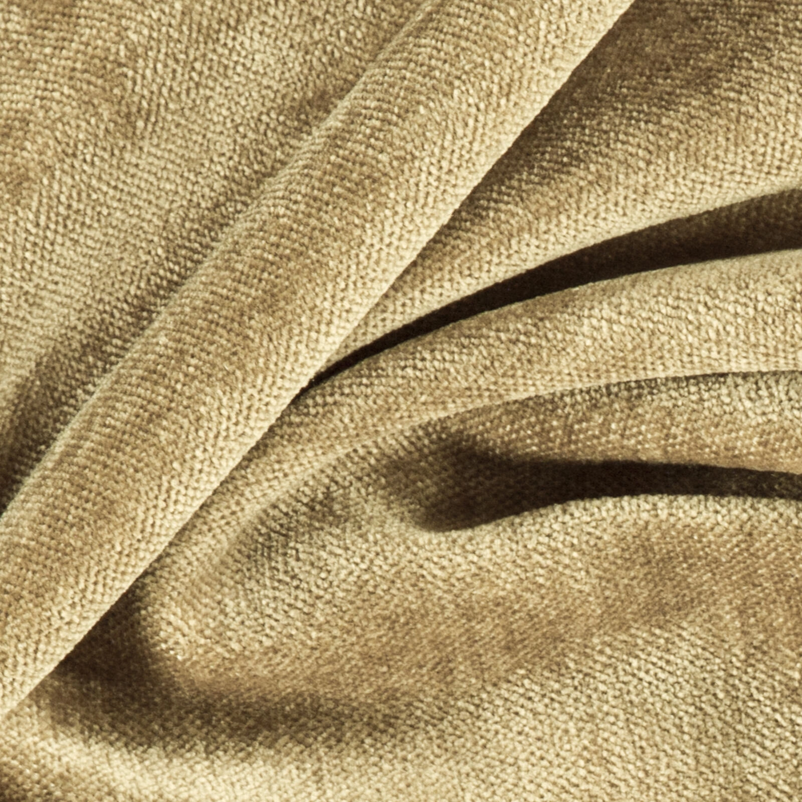 Primiero_Camel_3110040_20.jpg