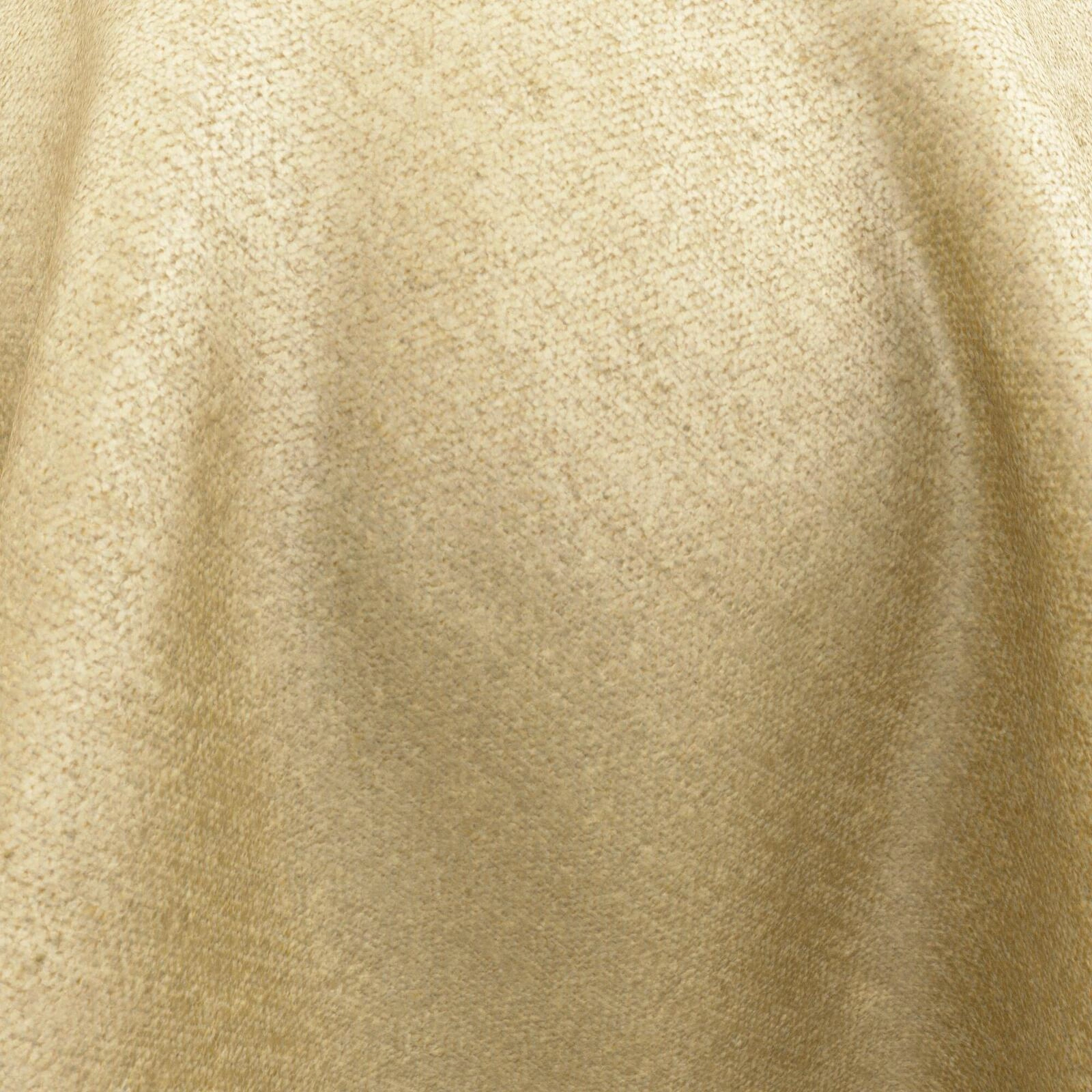 Primiero_Camel_3110040_33.jpg