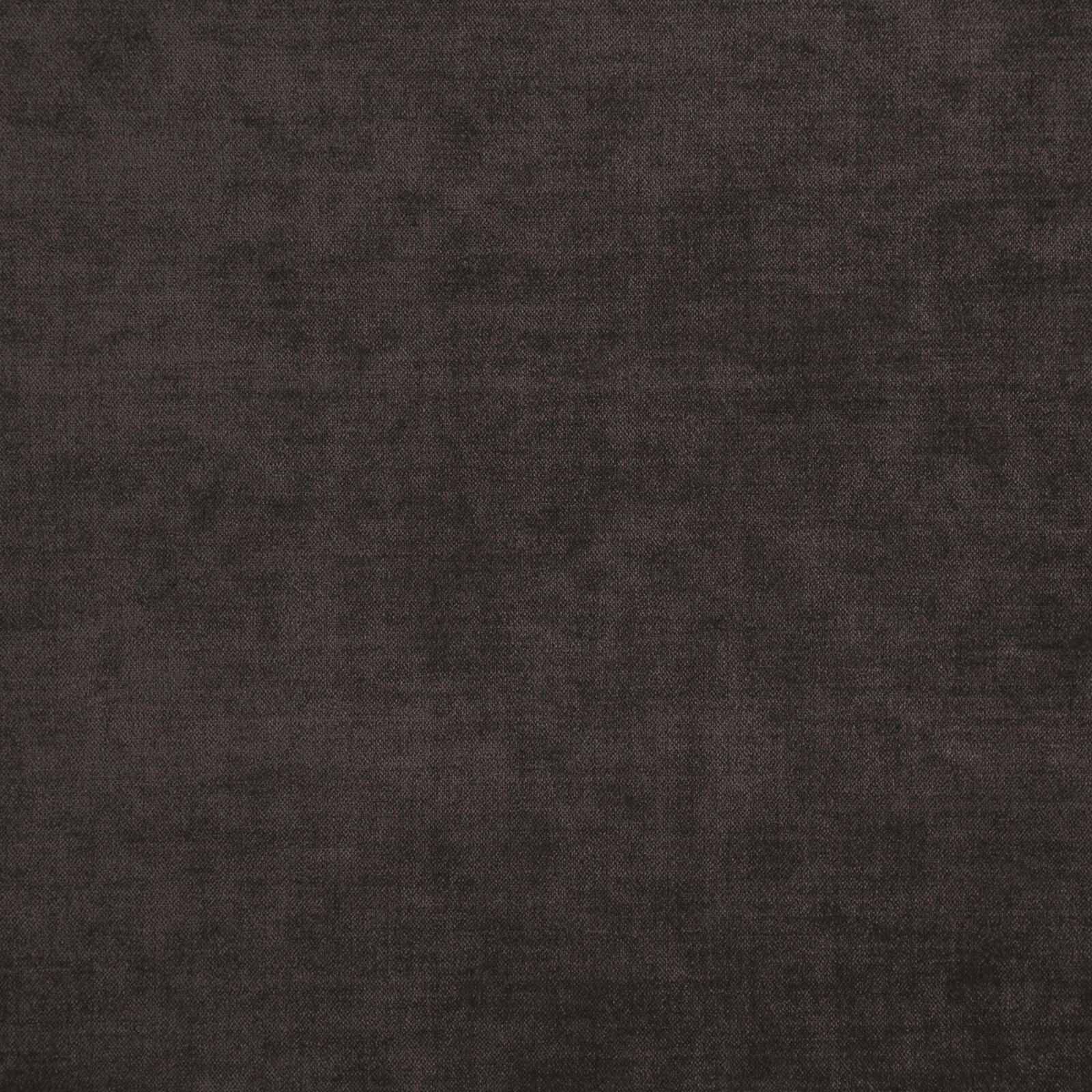 Primiero_Walnut_3110019_27.jpg