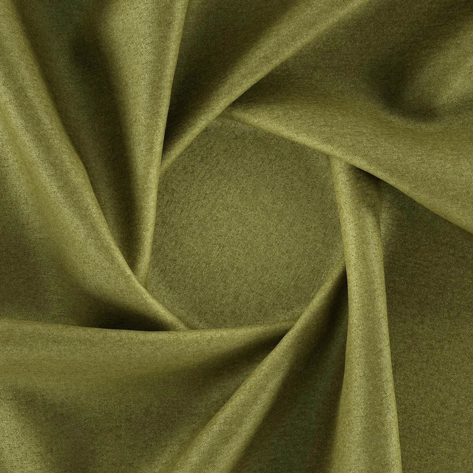 Primiero_Boa_3110009_4.jpg