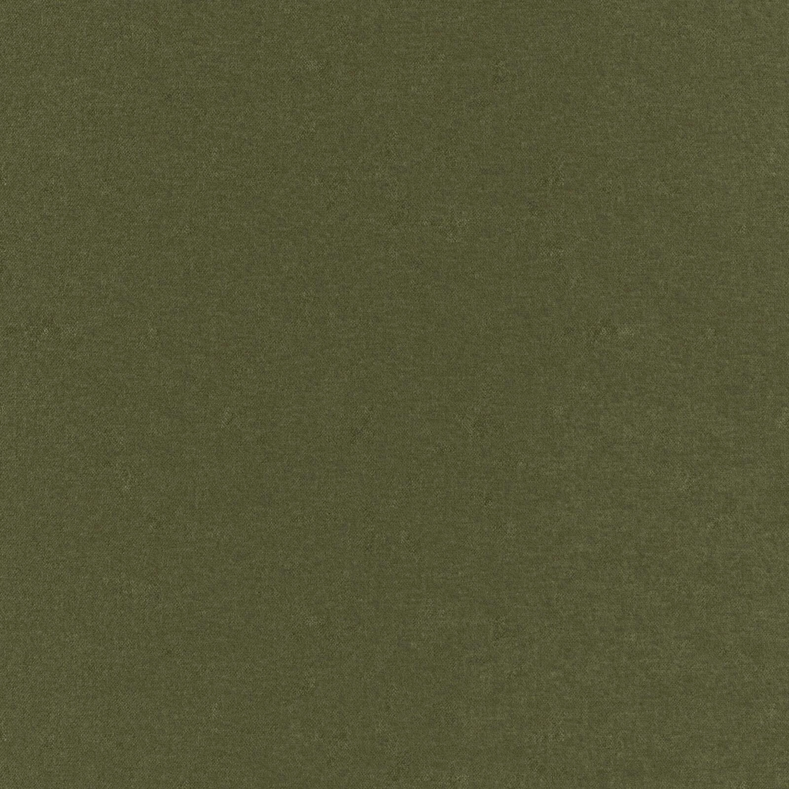 Primiero_Turtle_3110008_24.jpg