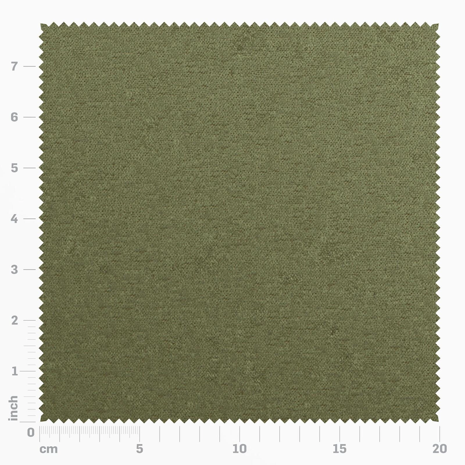 Primiero_Turtle_3110008_39.jpg