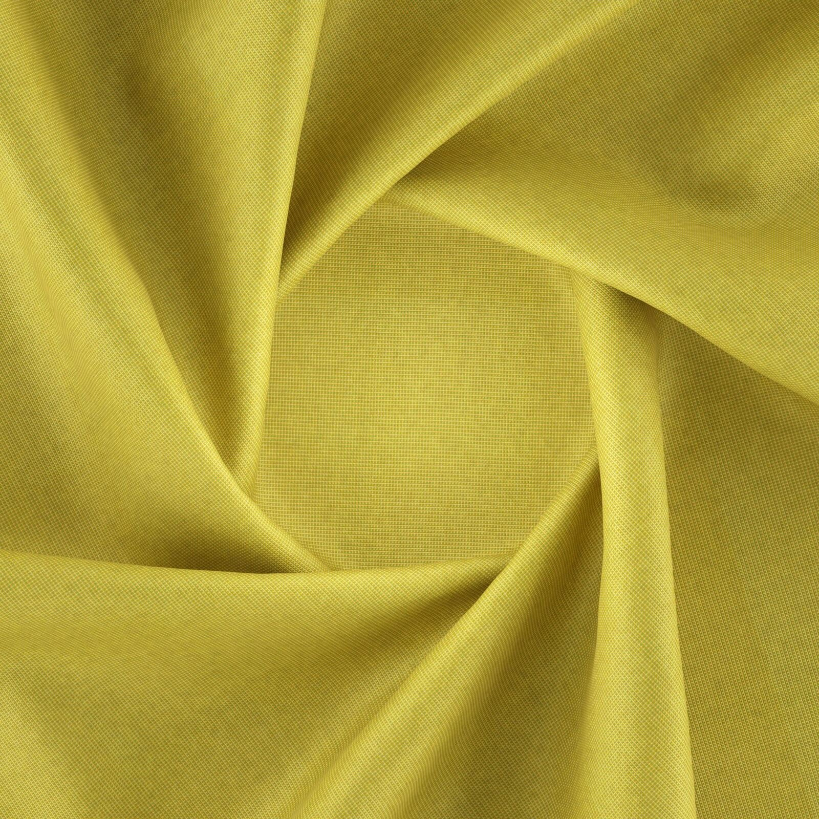 Tyberton Sunflower-main