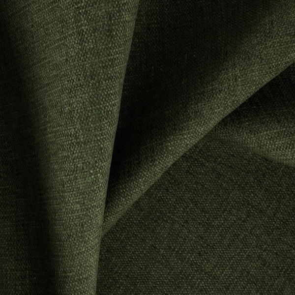 Fiord Frog-main