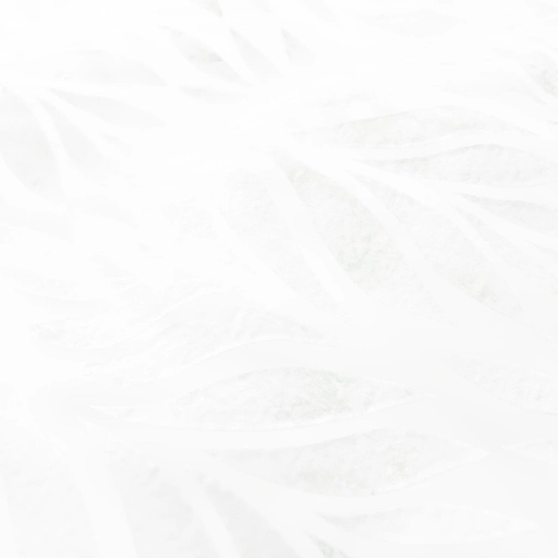 68cfe7530845b54836602c05.jpg
