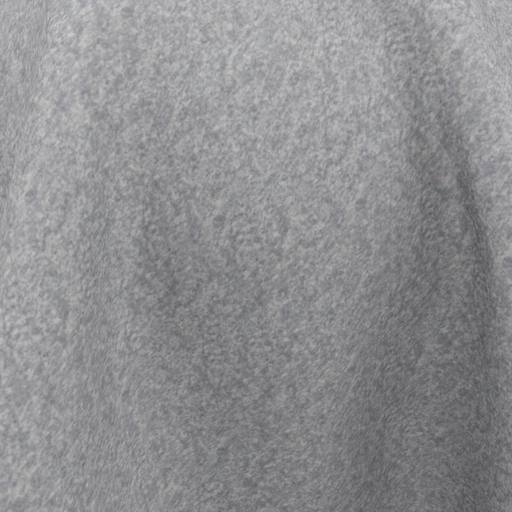 68b5a5ea6499057f7d969c2d.jpg