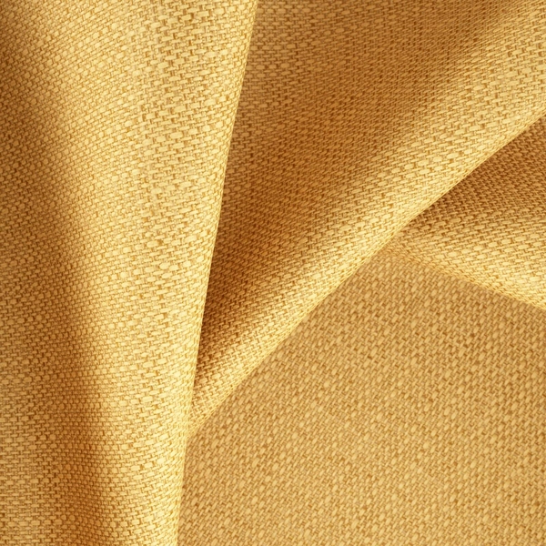 Evelyn Mustard-main