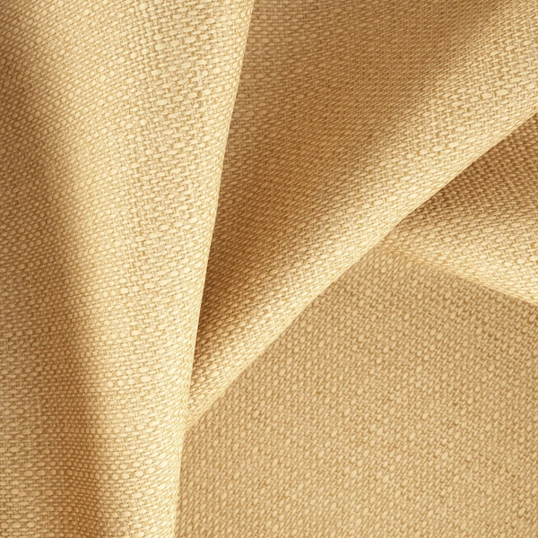 Evelyn Pecan-main