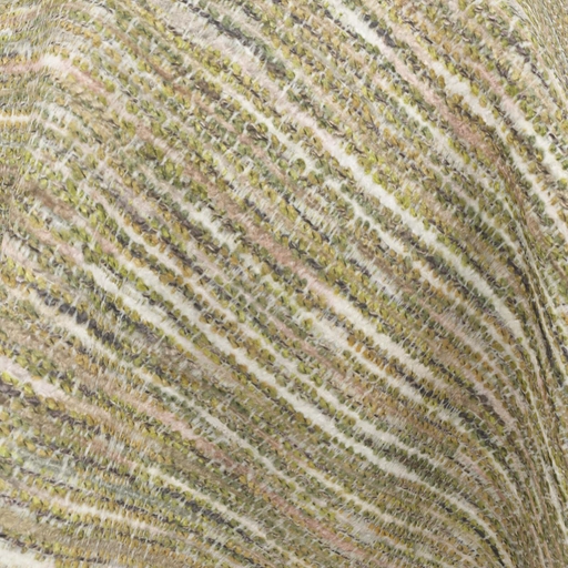 68cd6fa40845b548364fecf9.jpg