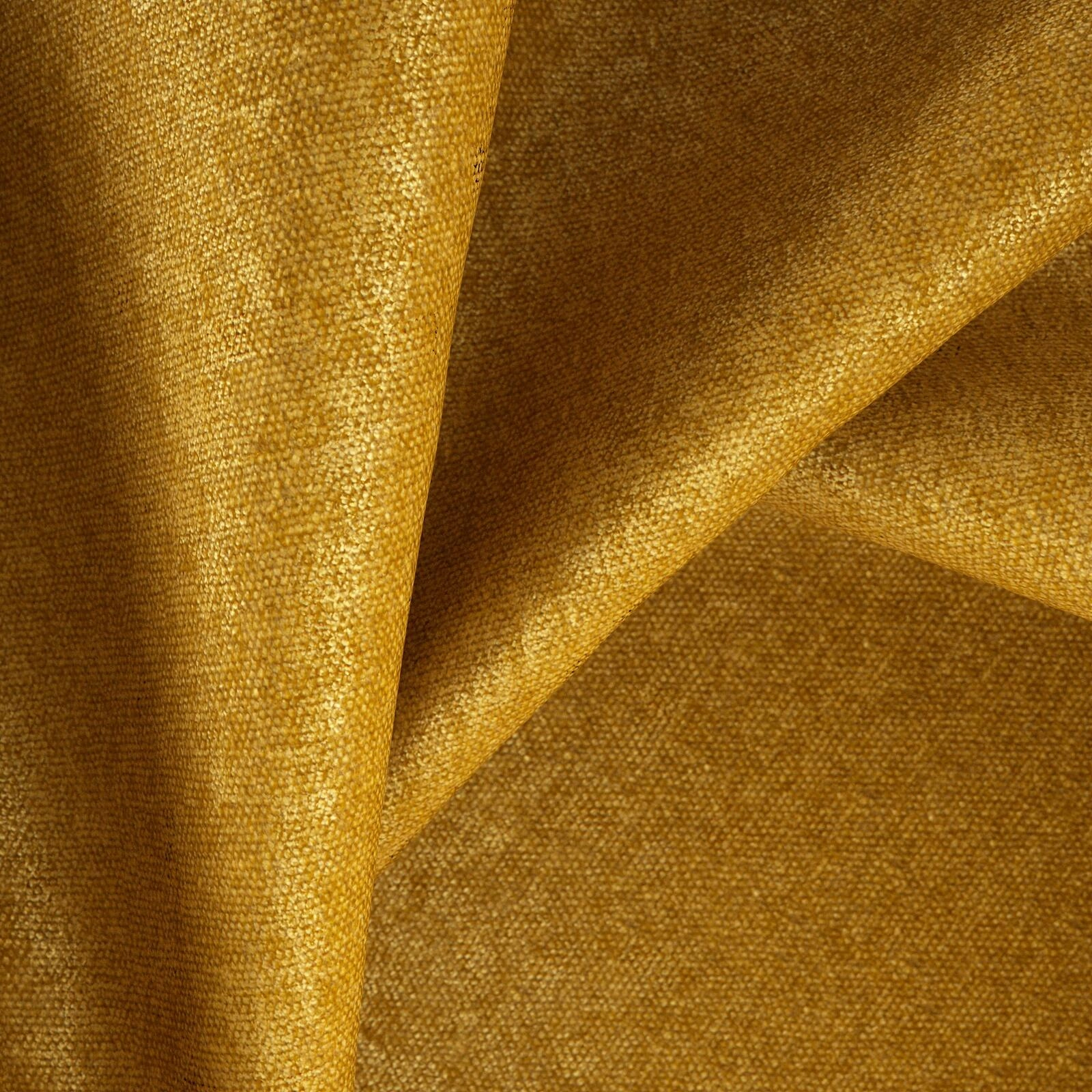 Mambo Gold-main