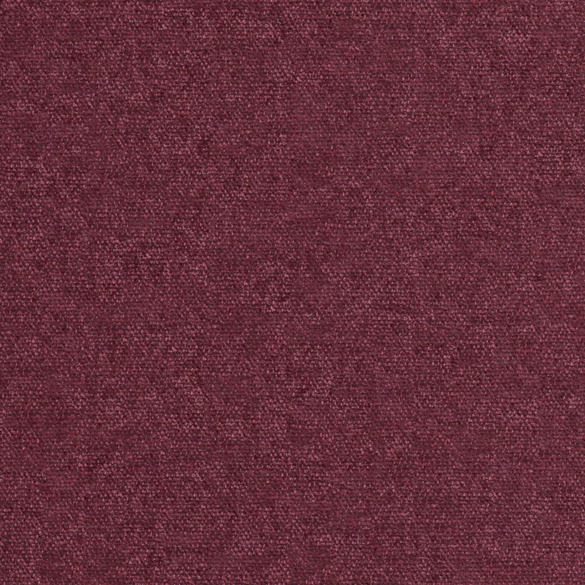 Salsa 02-Peony - Salsa 14220869518--FlatShot_FS_FS_20.jpg