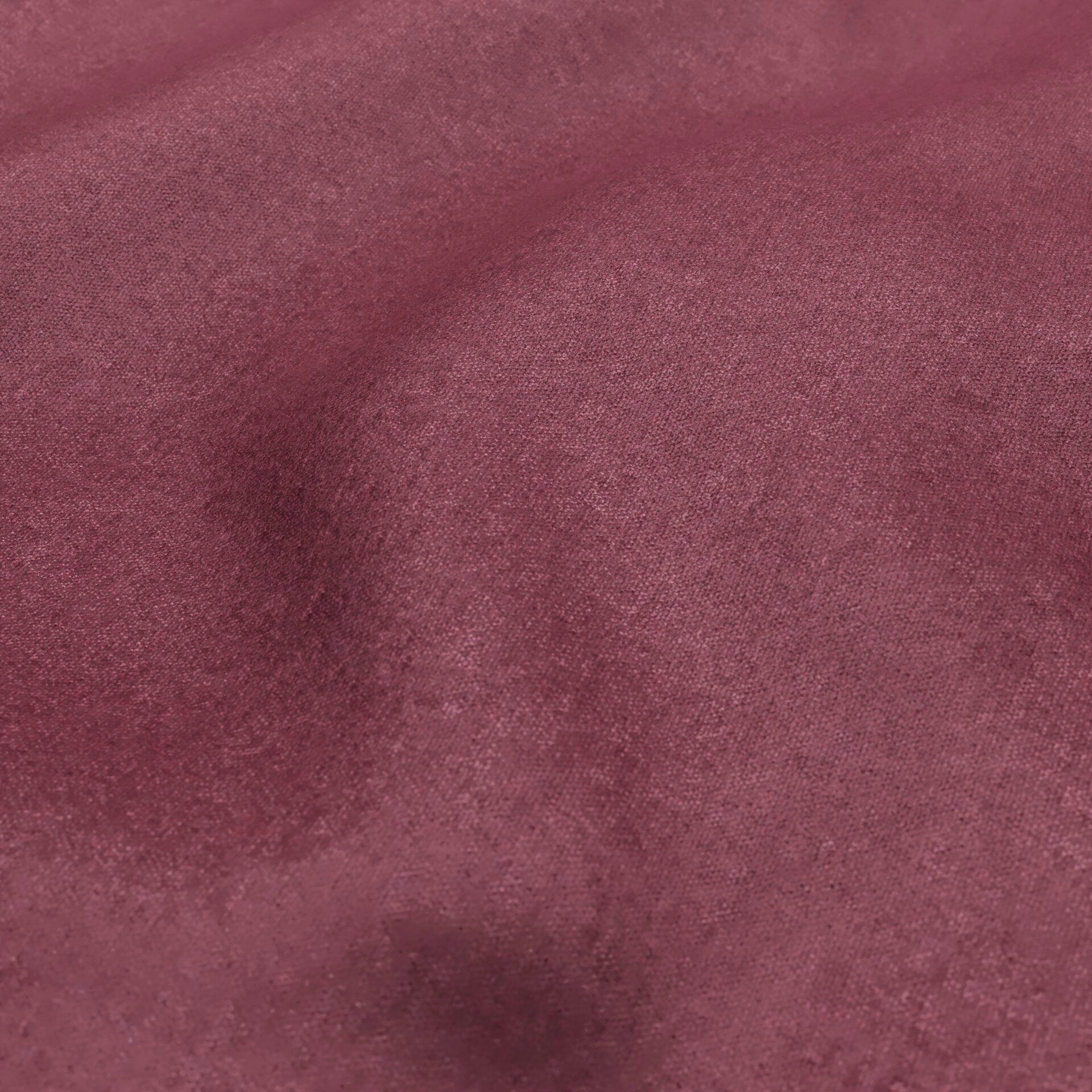 Salsa 02-Peony - Salsa 14220869518--Wrinkeled_WR_CloseUp.jpg