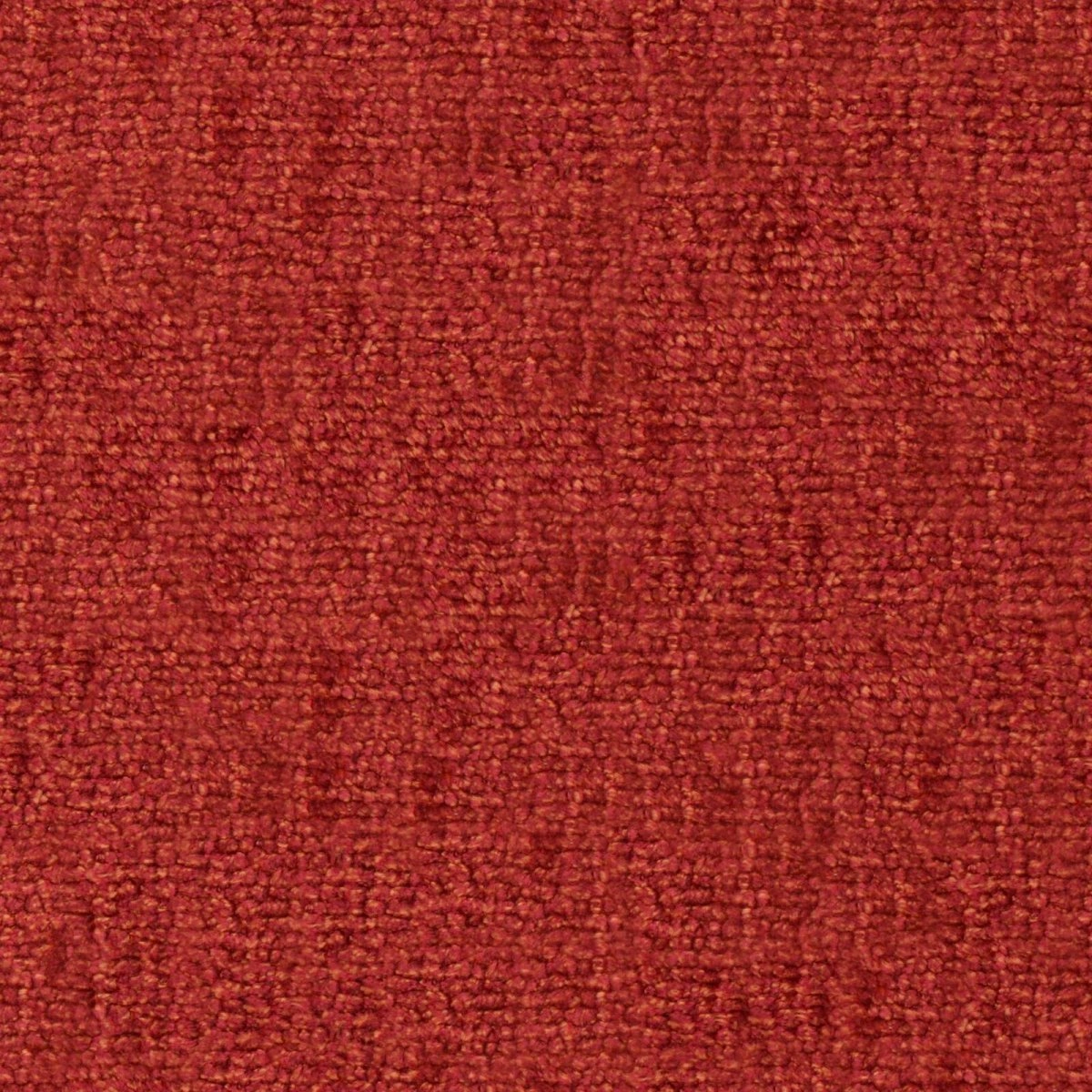 Lombok Cayenne-main