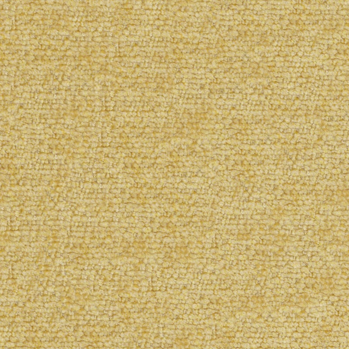 Lombok Honey-main
