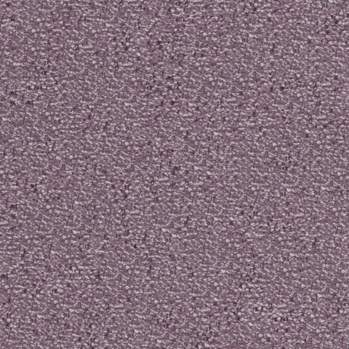 Lombok Lavender-main