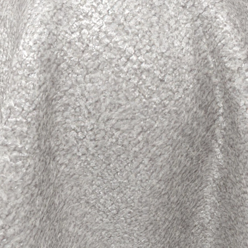 68ceca9e0845b548365a9b70.jpg
