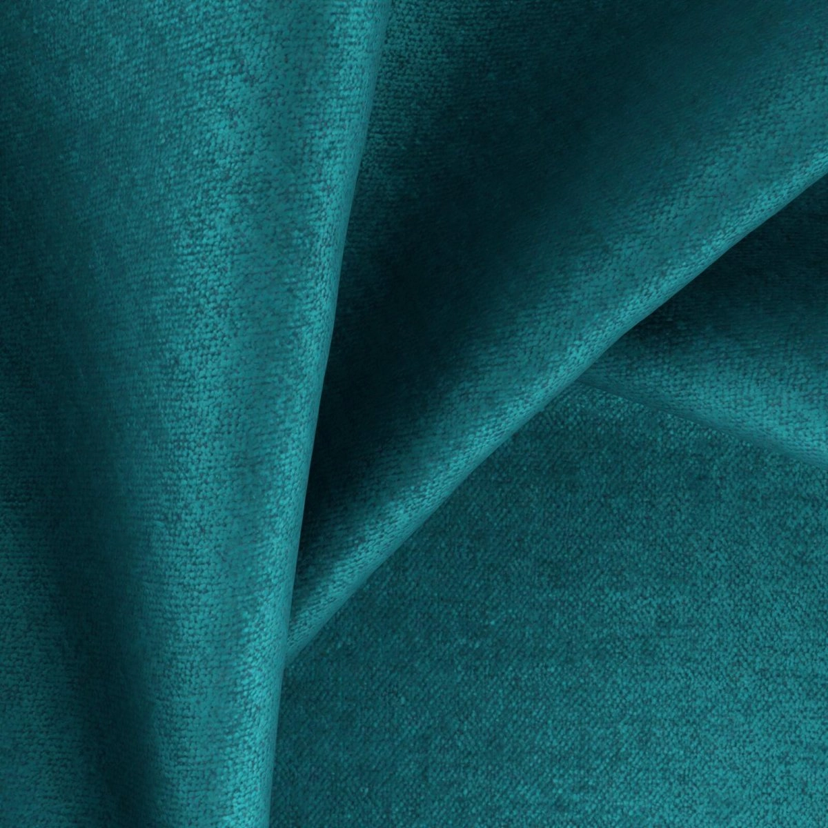 Rupat Peacock-main