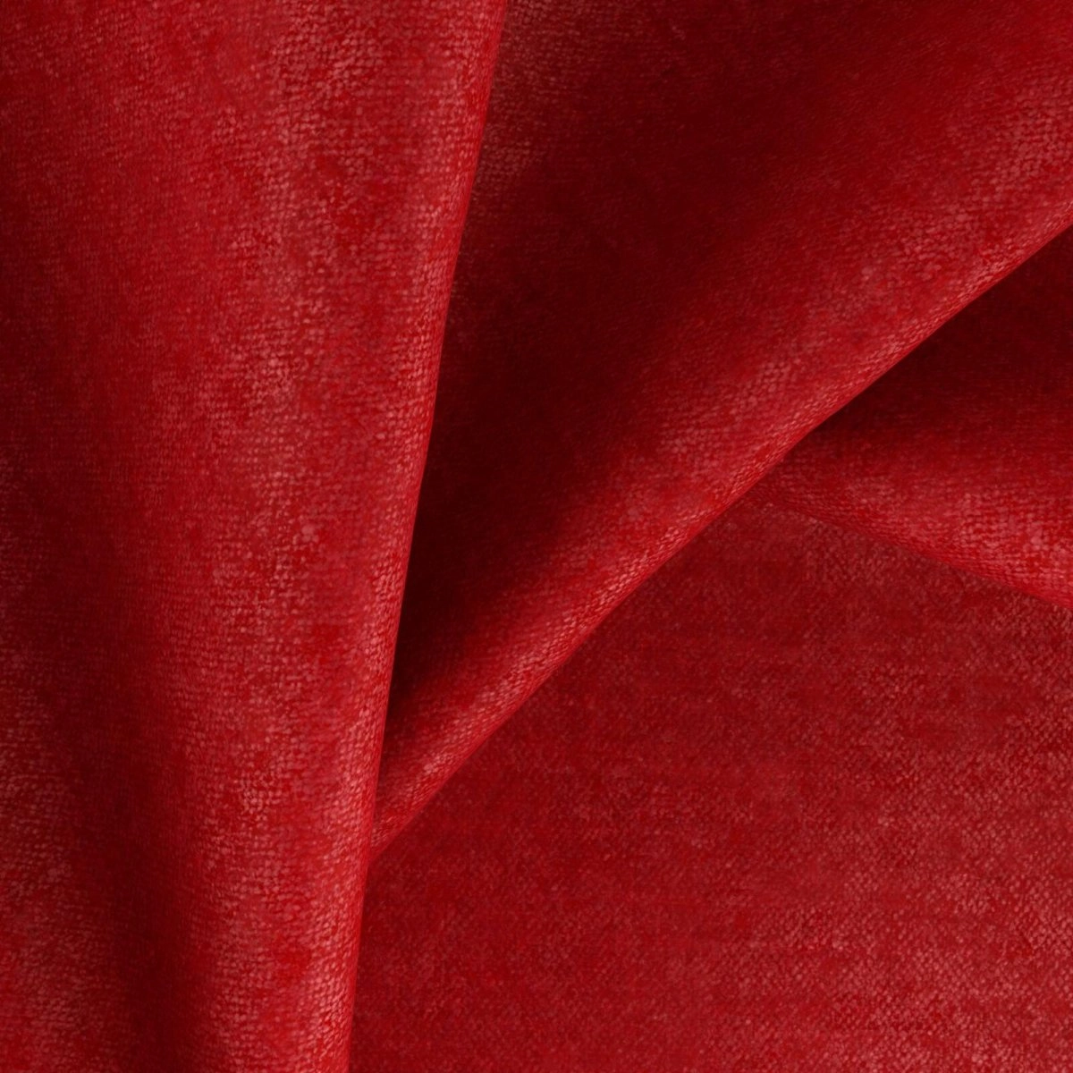 Rupat Poppy-main