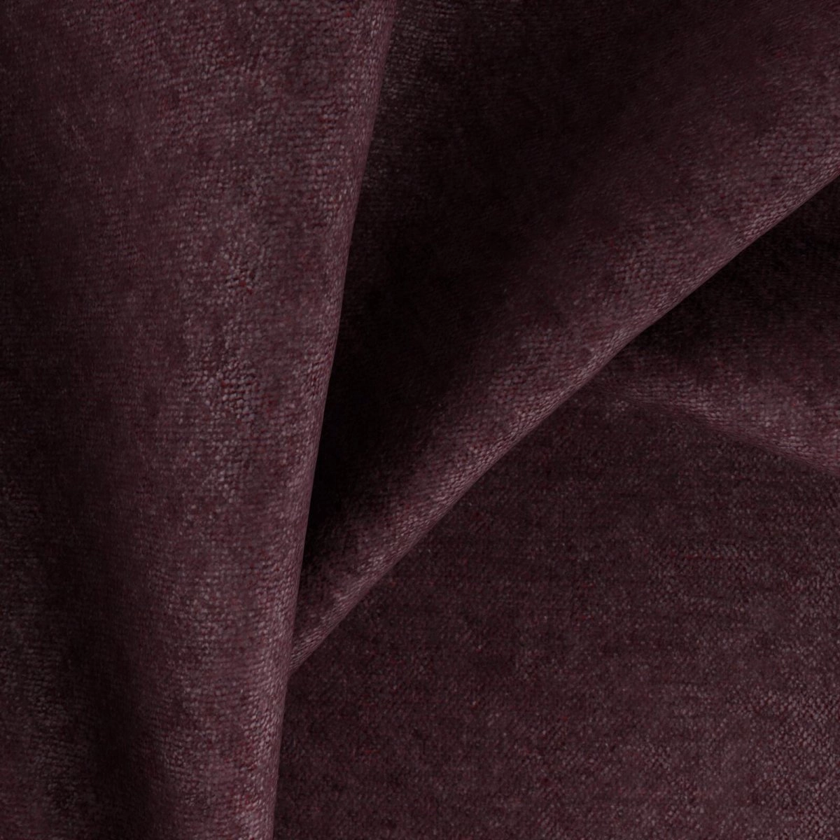 Rupat Purple-main